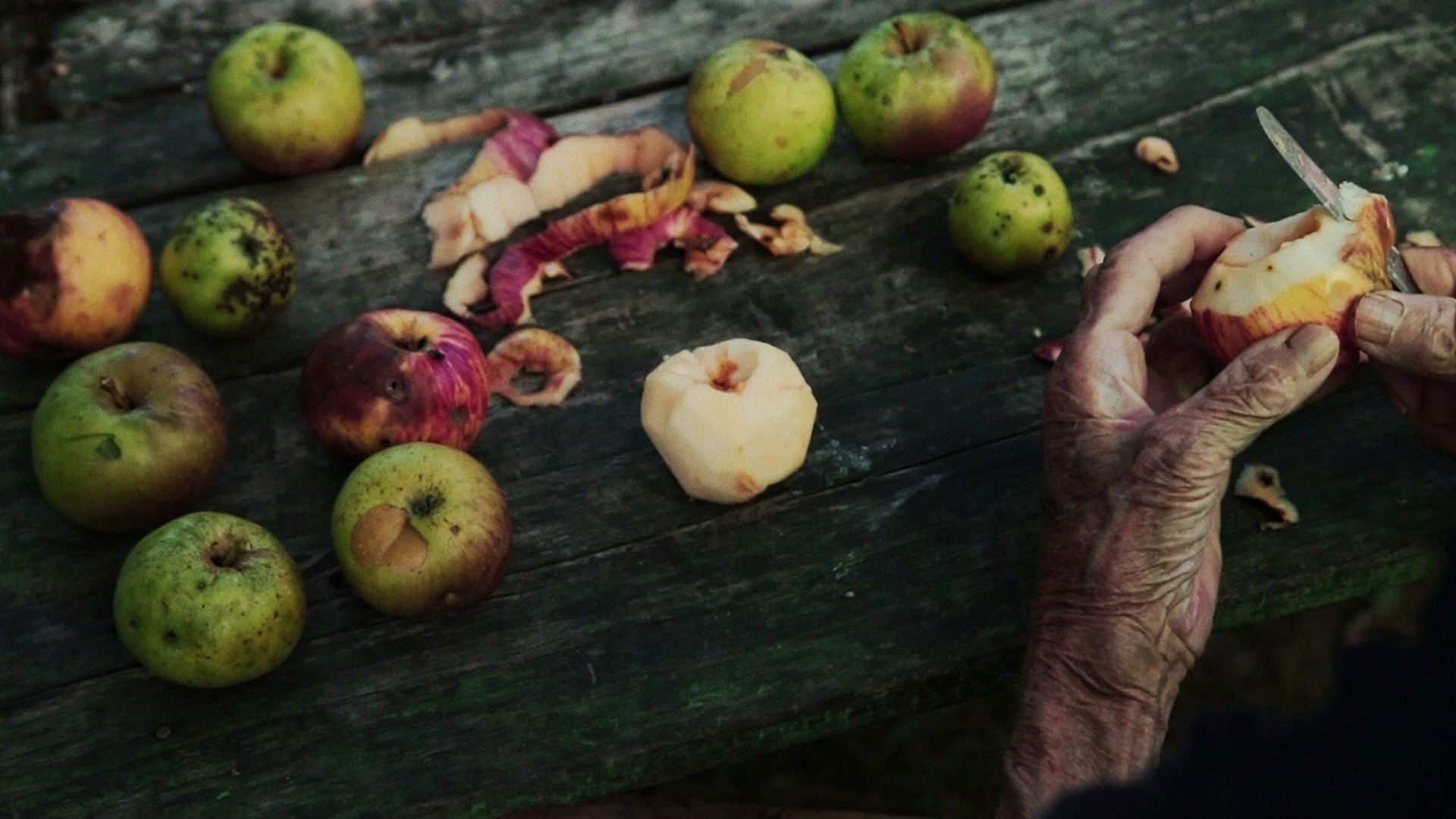 Then Comes the Evening Background