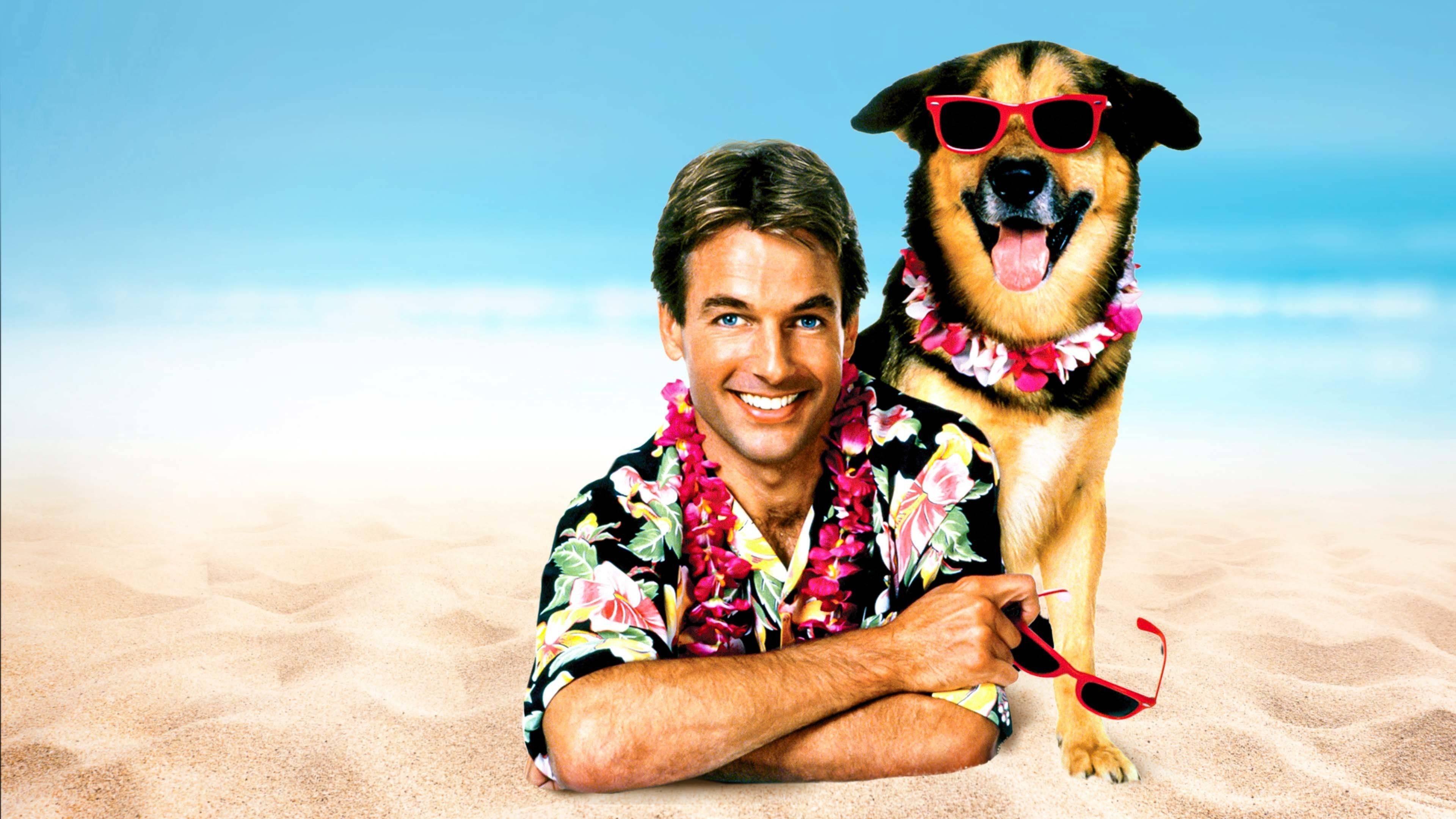 Summer School Background