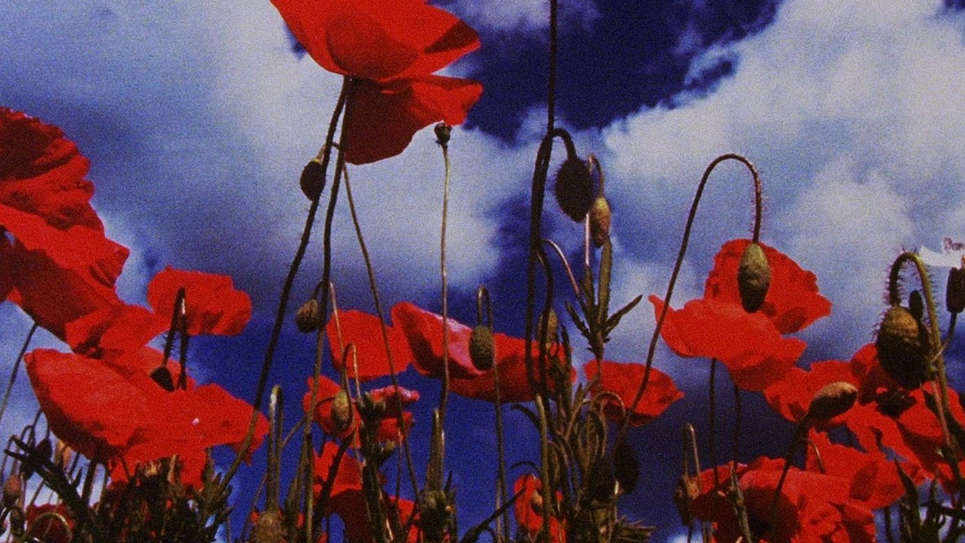 Wasteland No. 1: Ardent Verdant Background