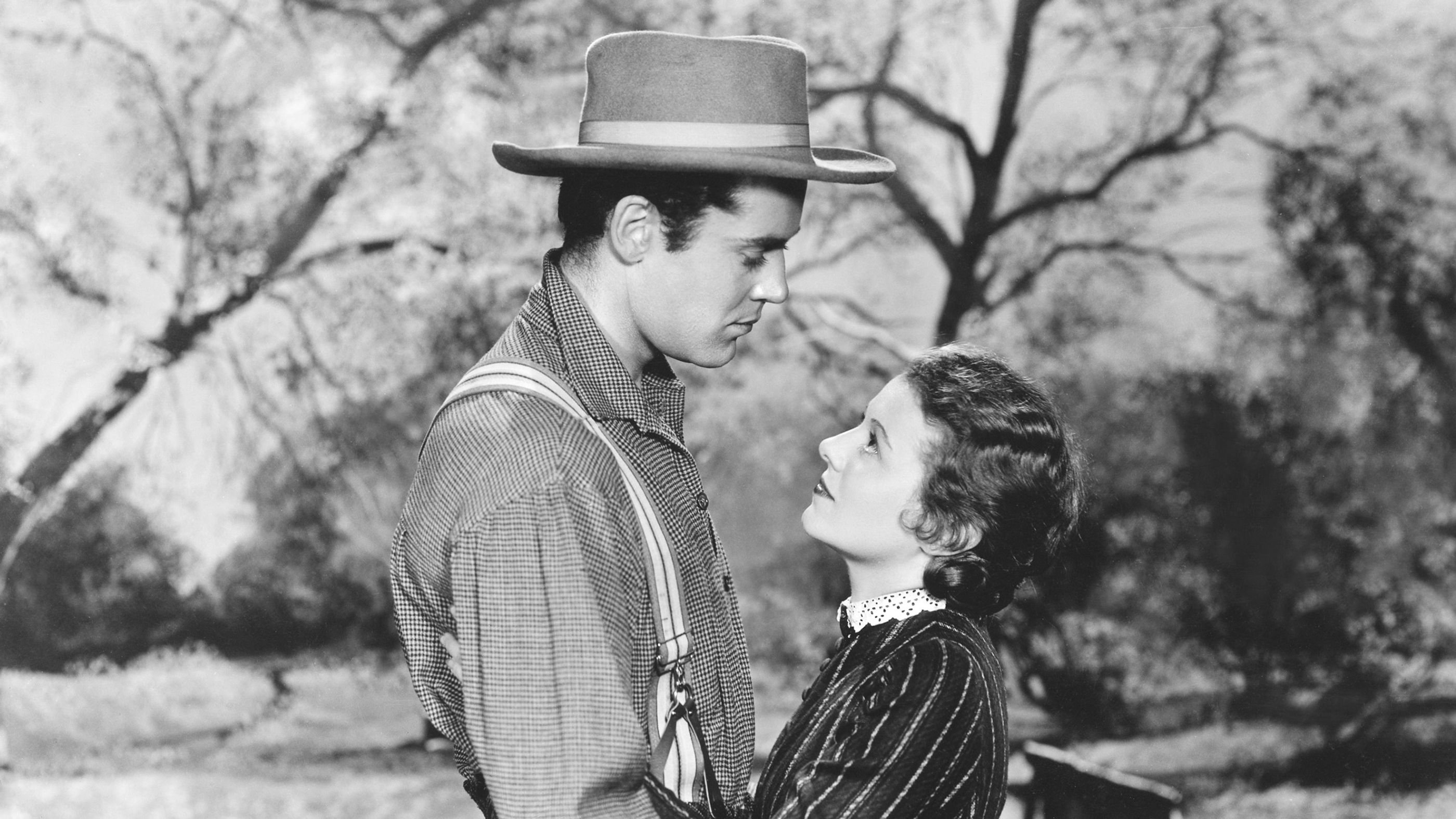 The Farmer Takes a Wife Background