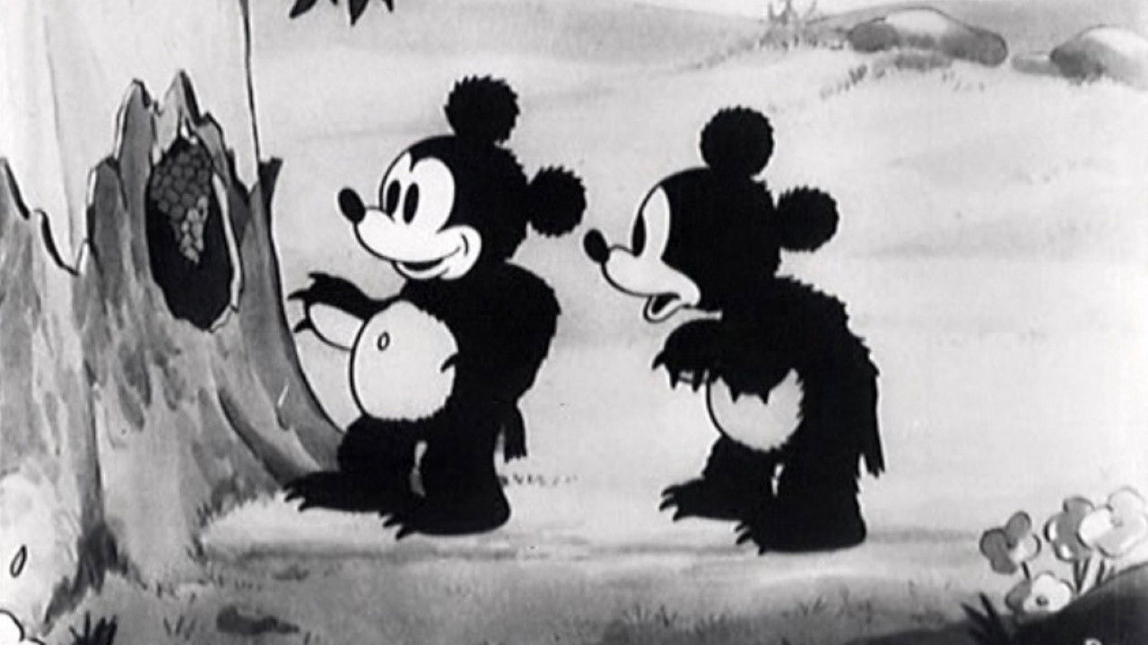 The Bears and the Bees Background