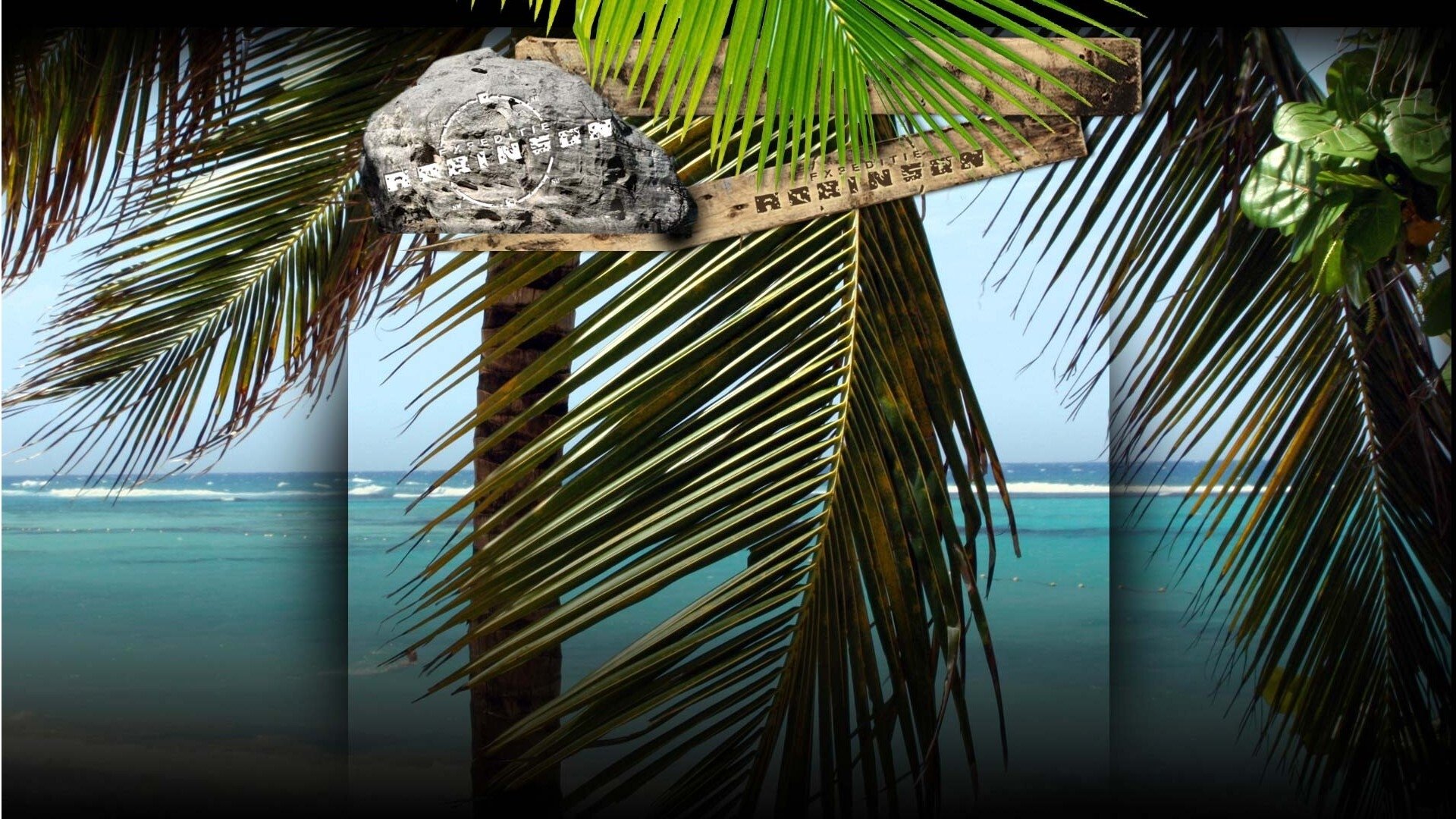 Expeditie Robinson Background