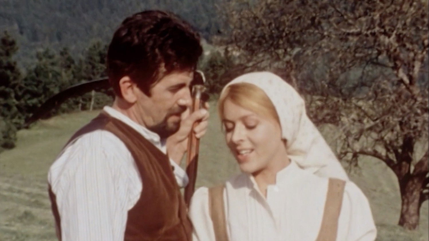 Blossoms in Autumn Background