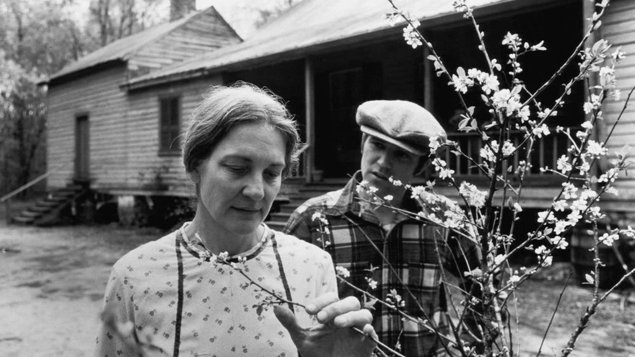 Gal Young 'Un Background