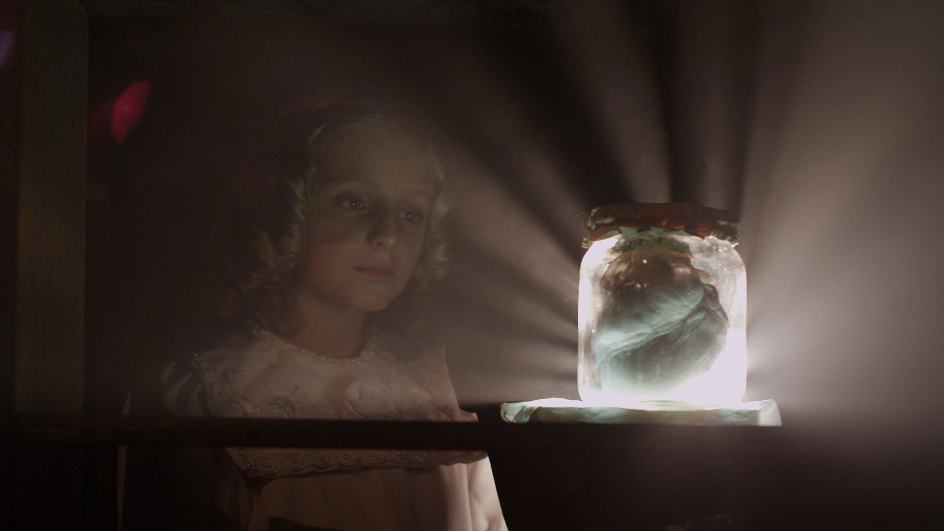 Field of Dogs Background