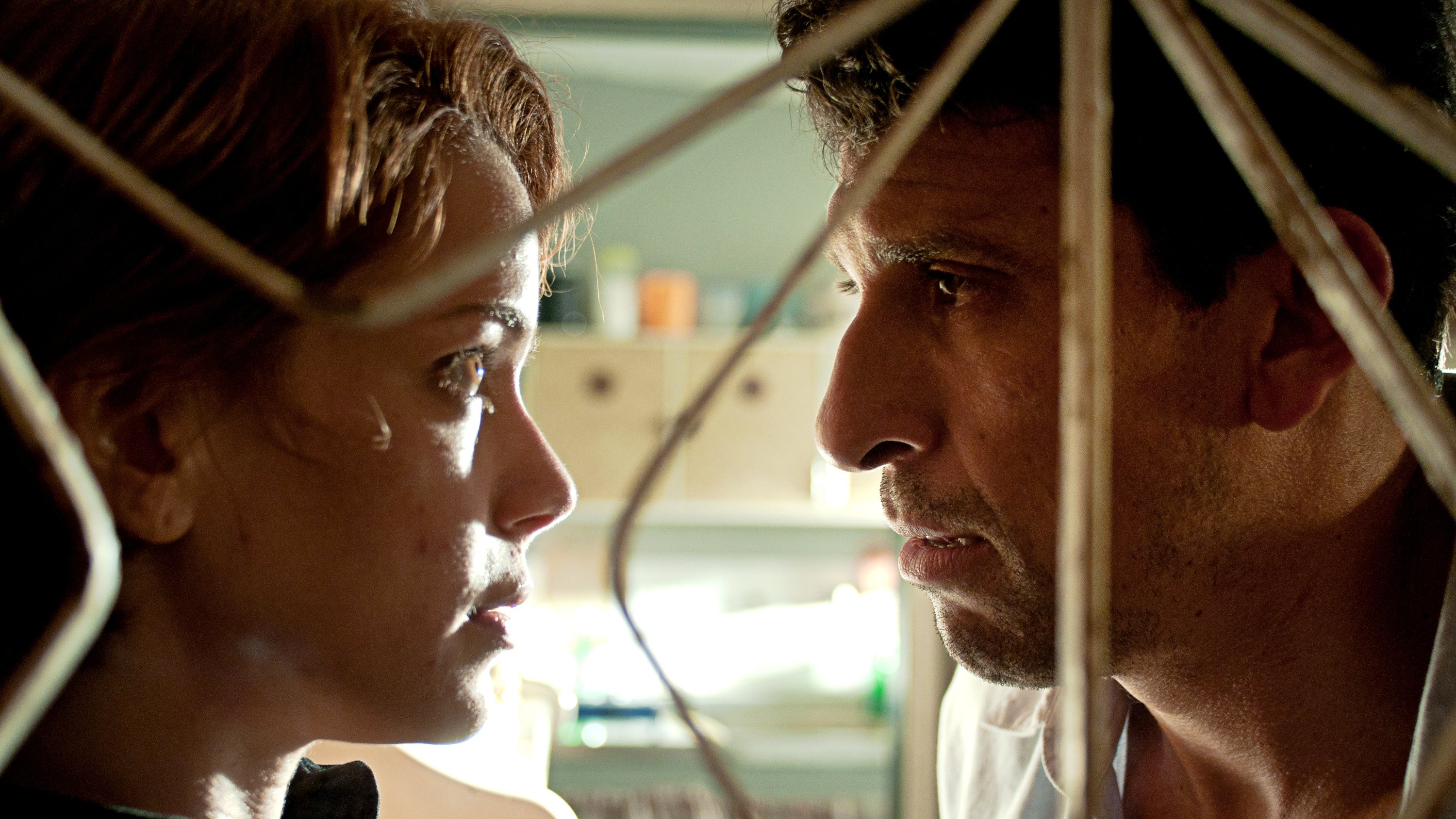 A Wolf at the Door Background