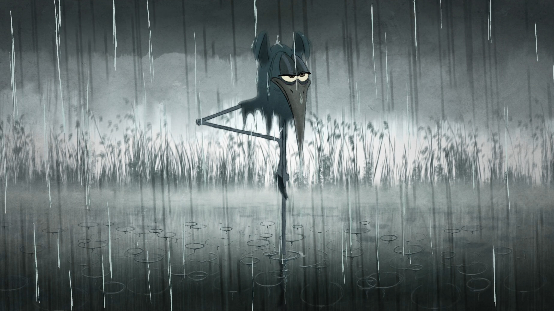 Bird Karma Background