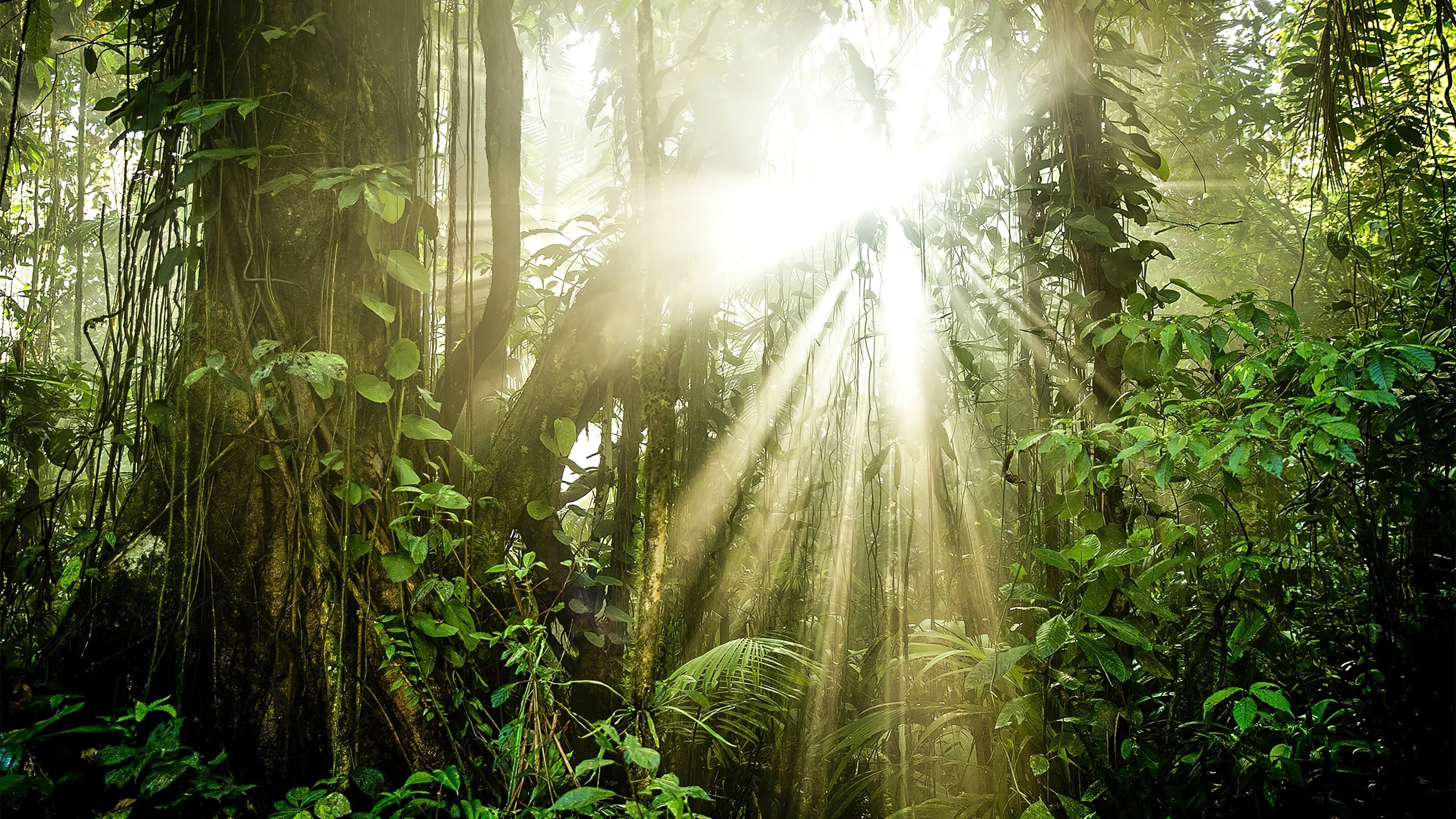 The Green Planet Background