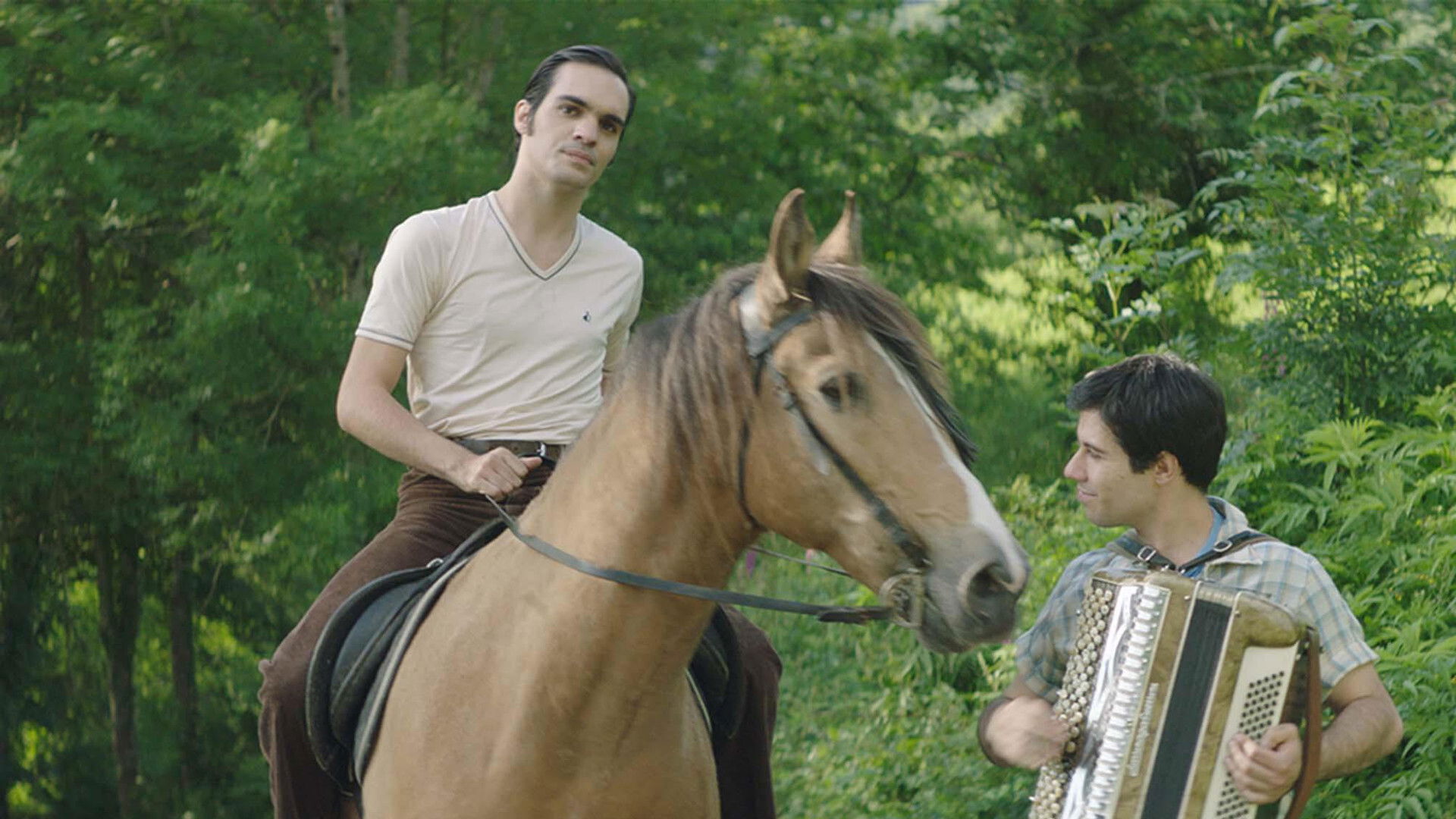 The Accordionist's Son Background