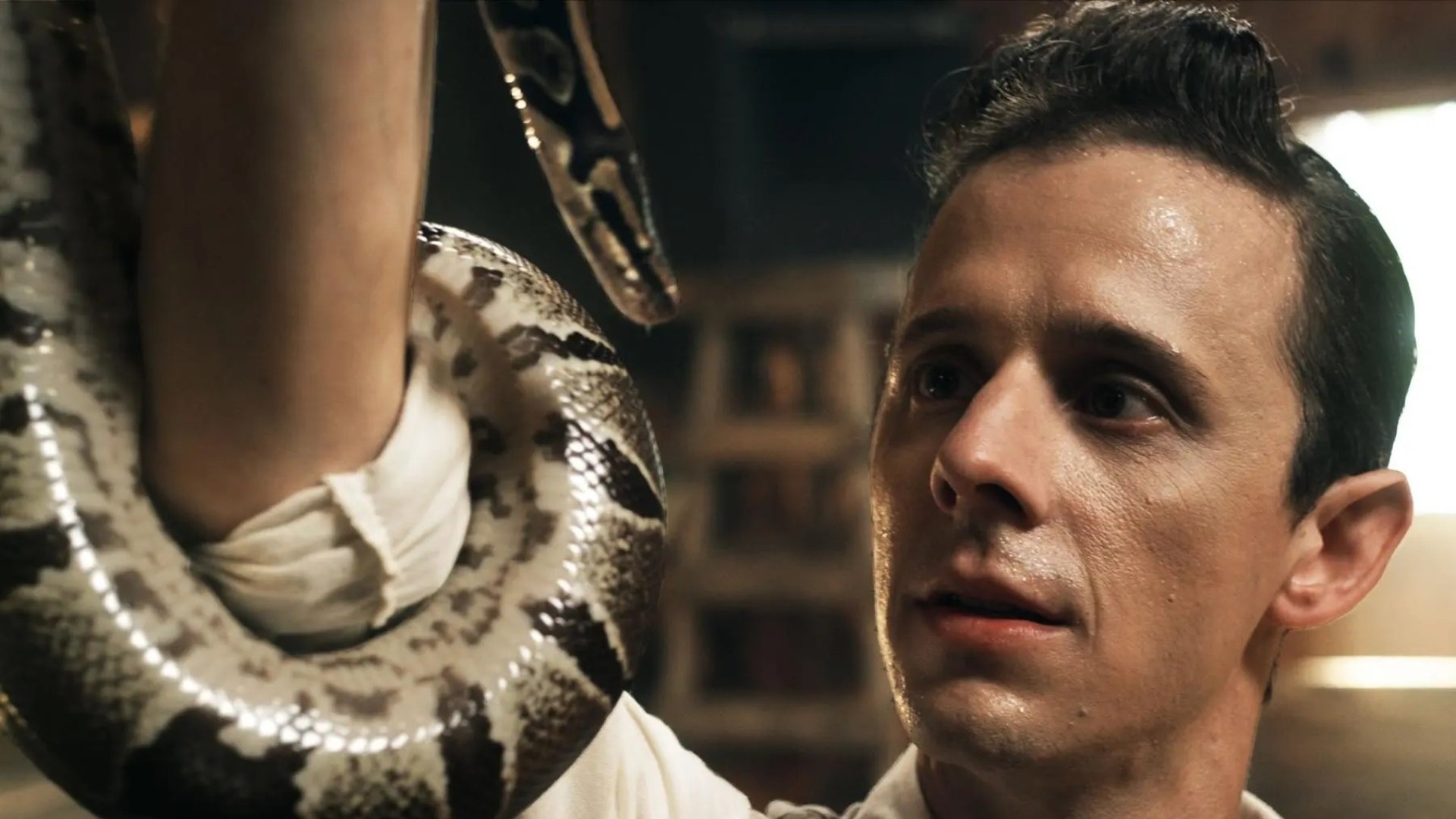 Holy Ghost People Background