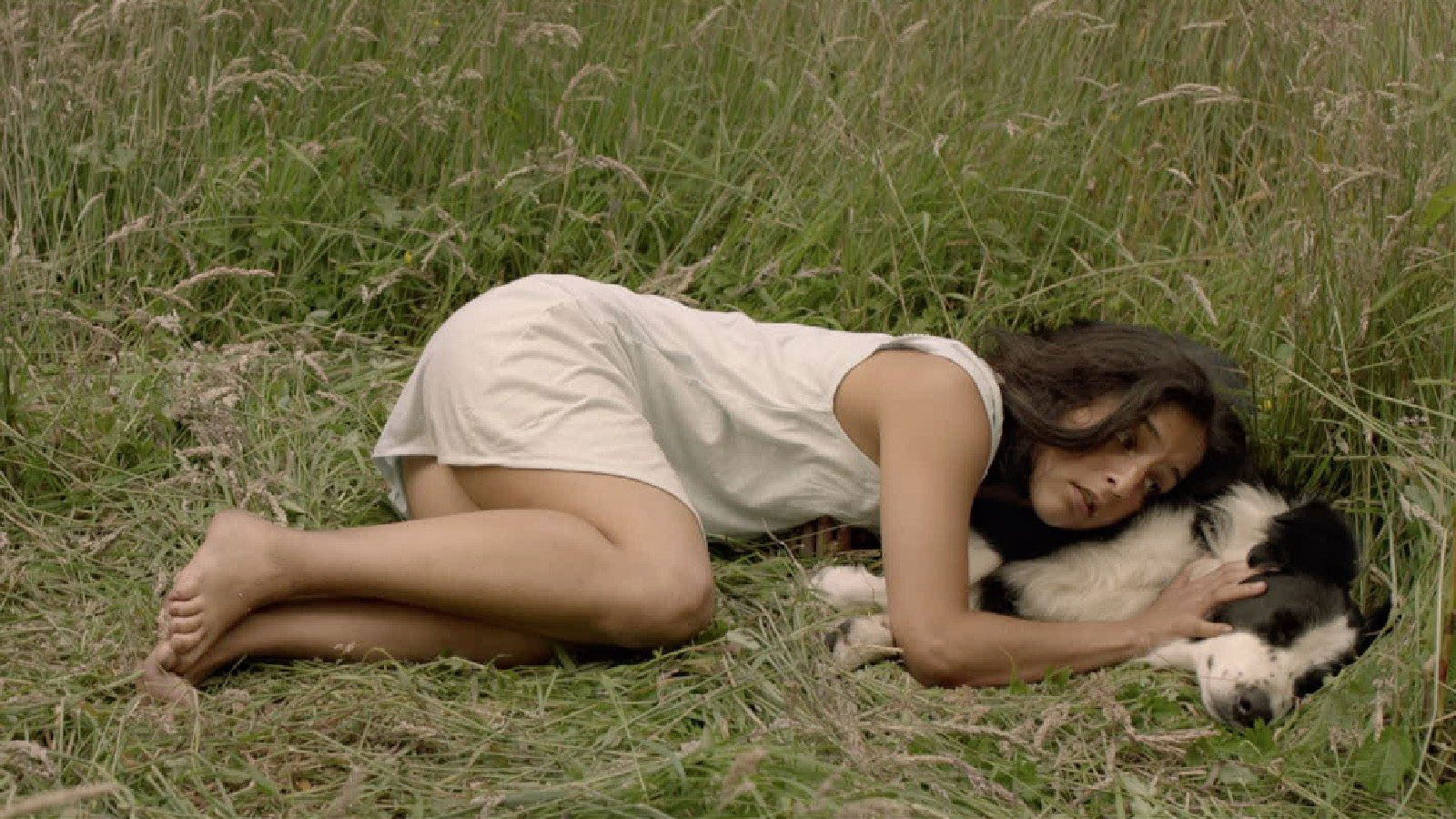 Vendrá la muerte y tendrá tus ojos Background