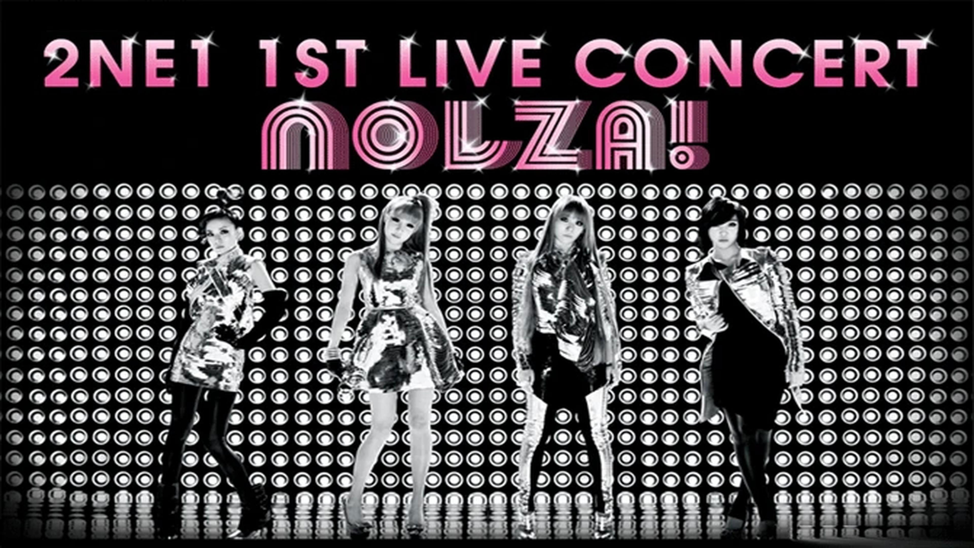 2NE1: 1st Live Concert NOLZA Background