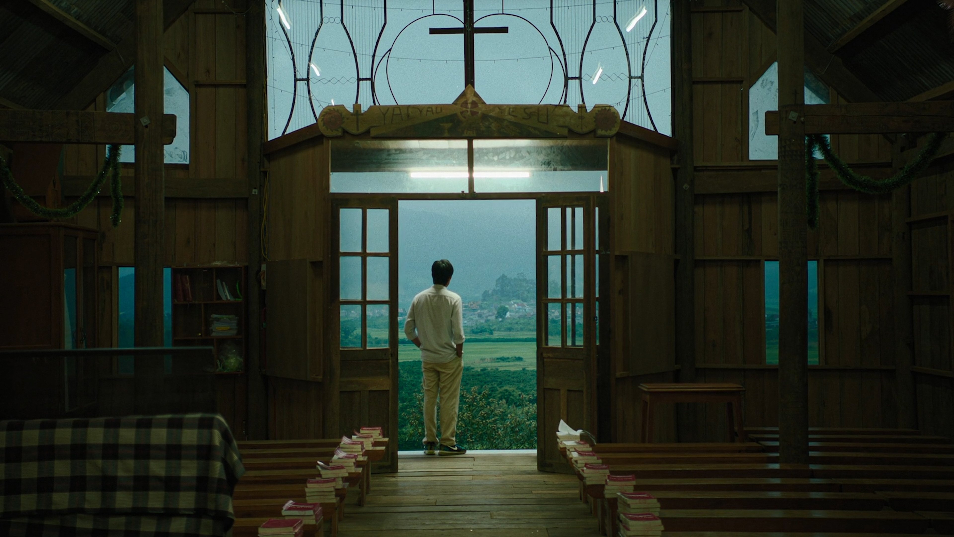 Inside the Yellow Cocoon Shell Background