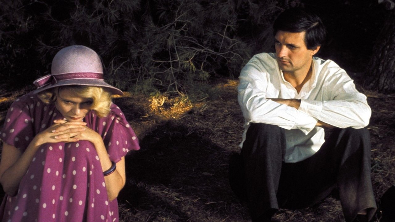 The Moonshine War Background