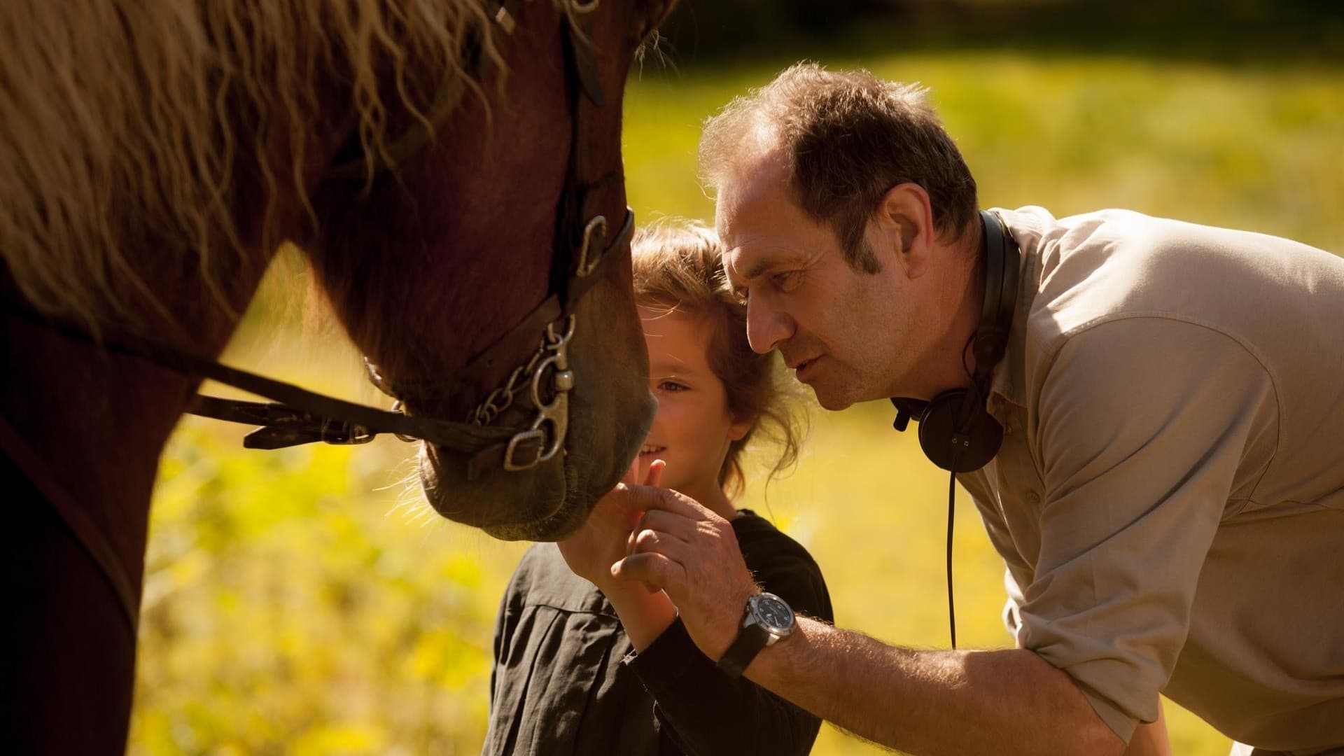 The Scent of Mandarin Background