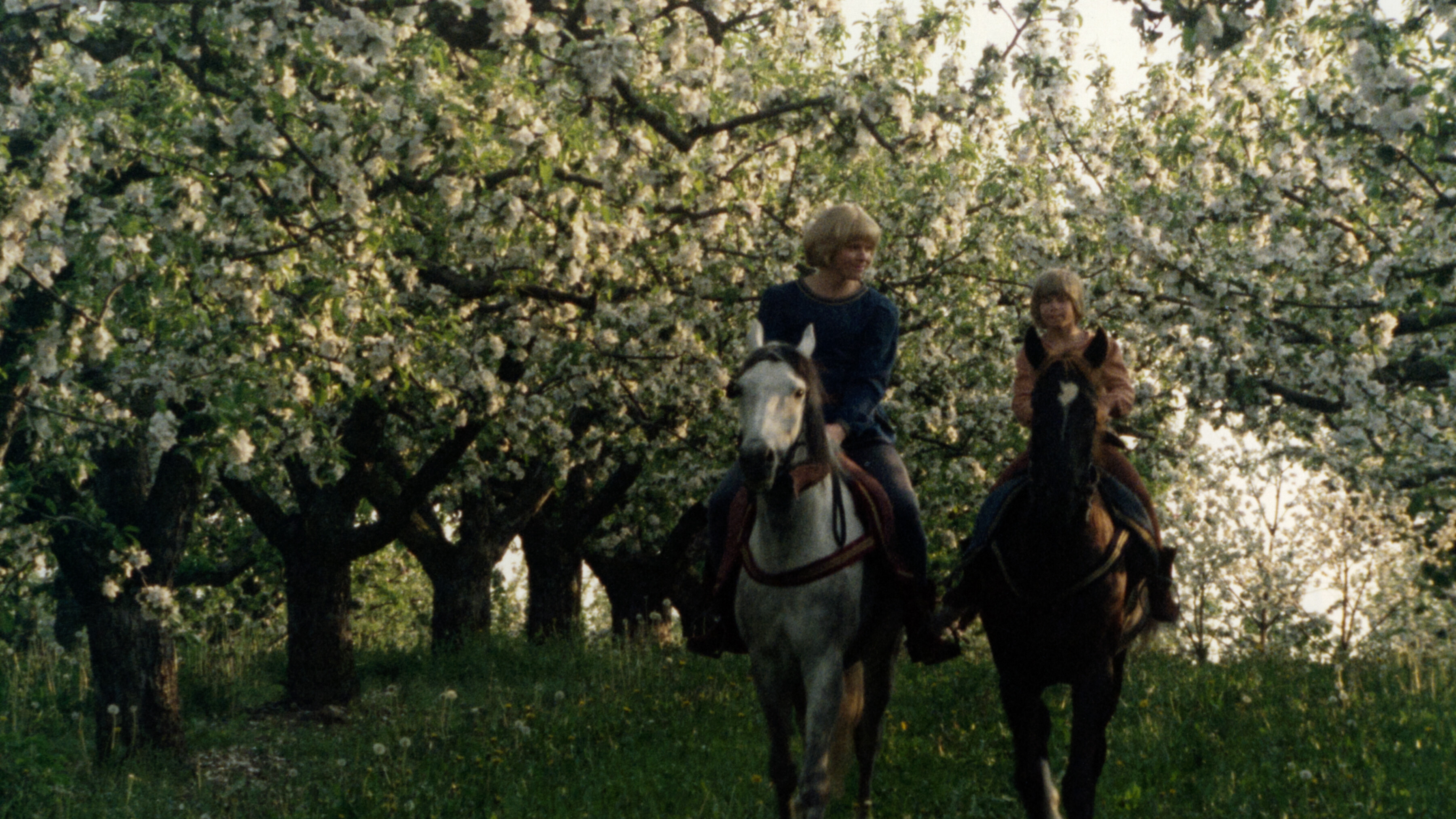 The Brothers Lionheart Background