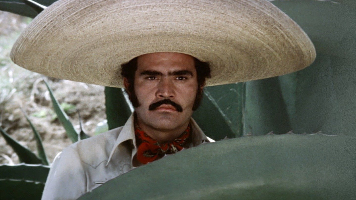 La ley del monte Background