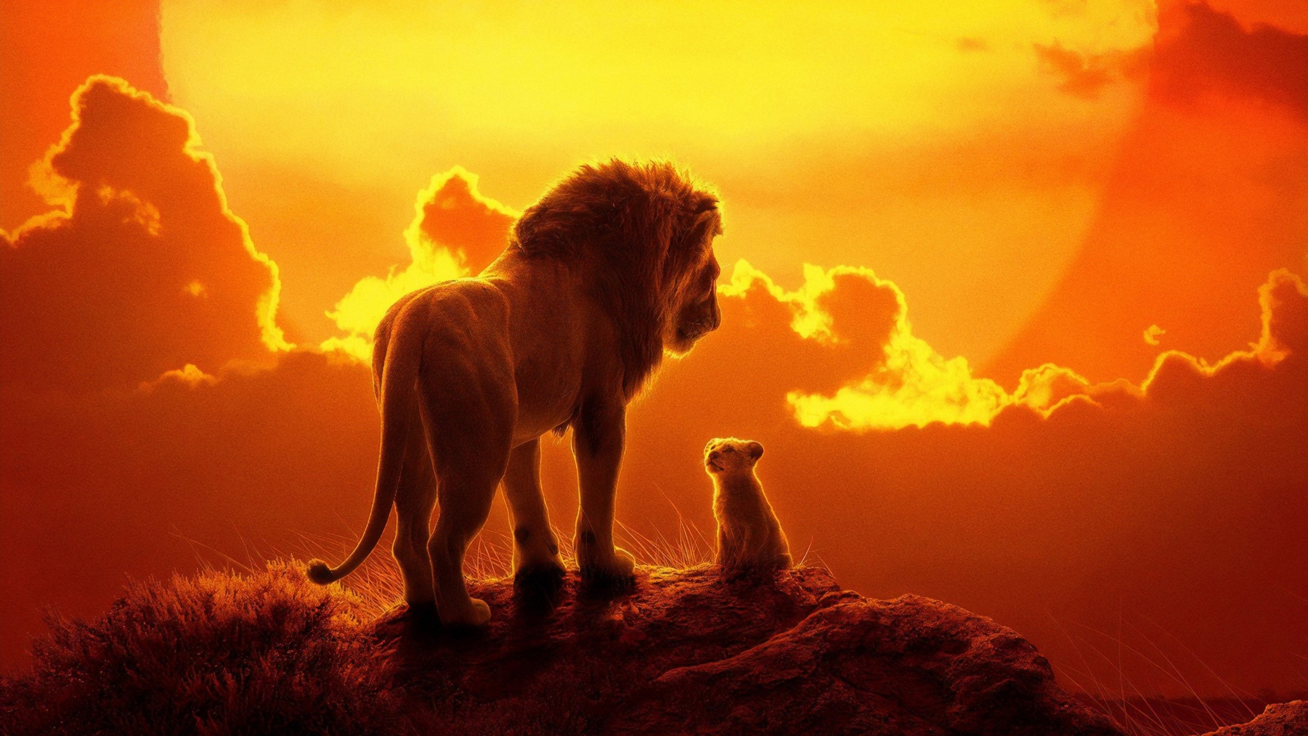 The Lion King Background
