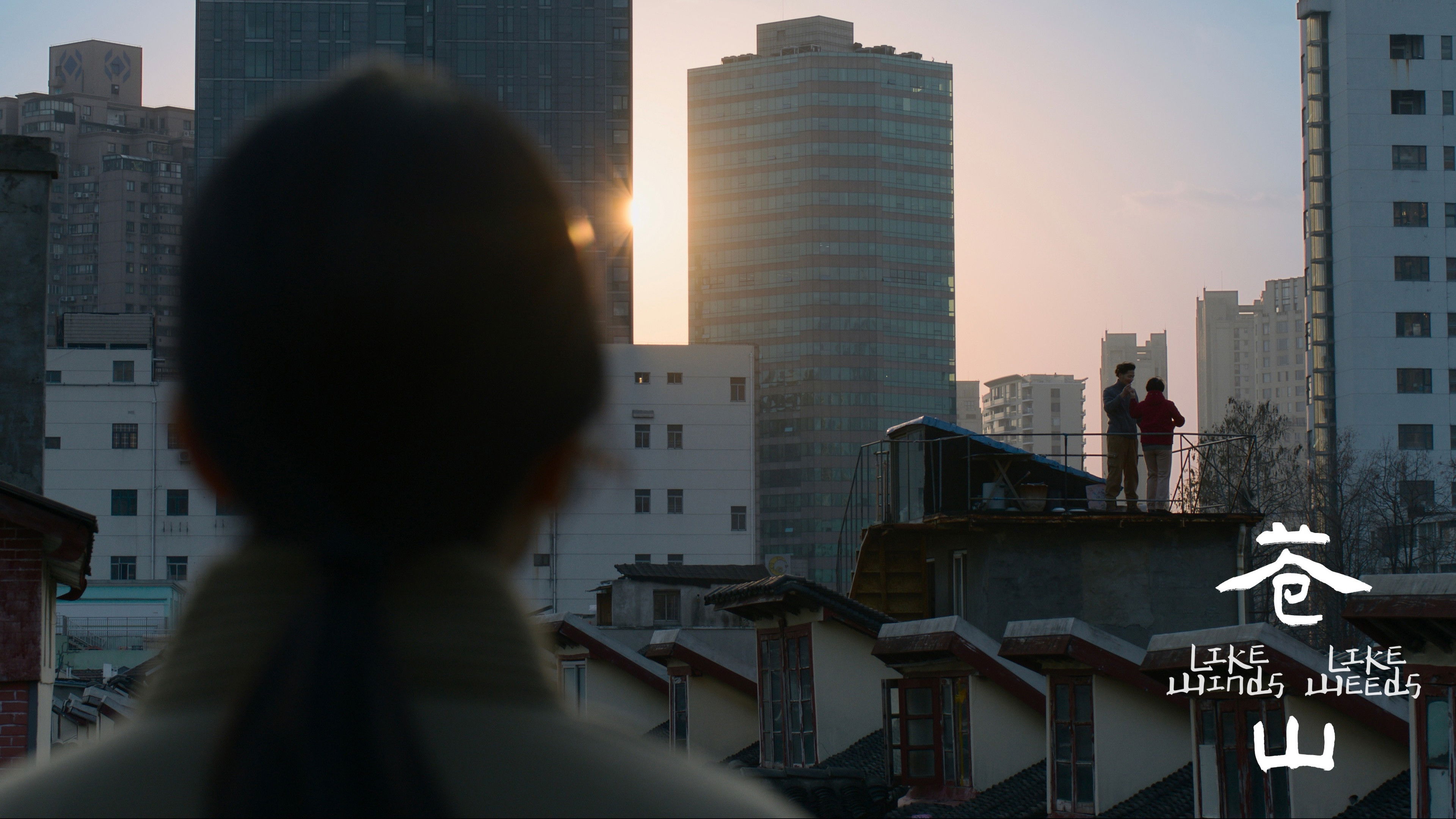 Like Winds, Like Weeds Background