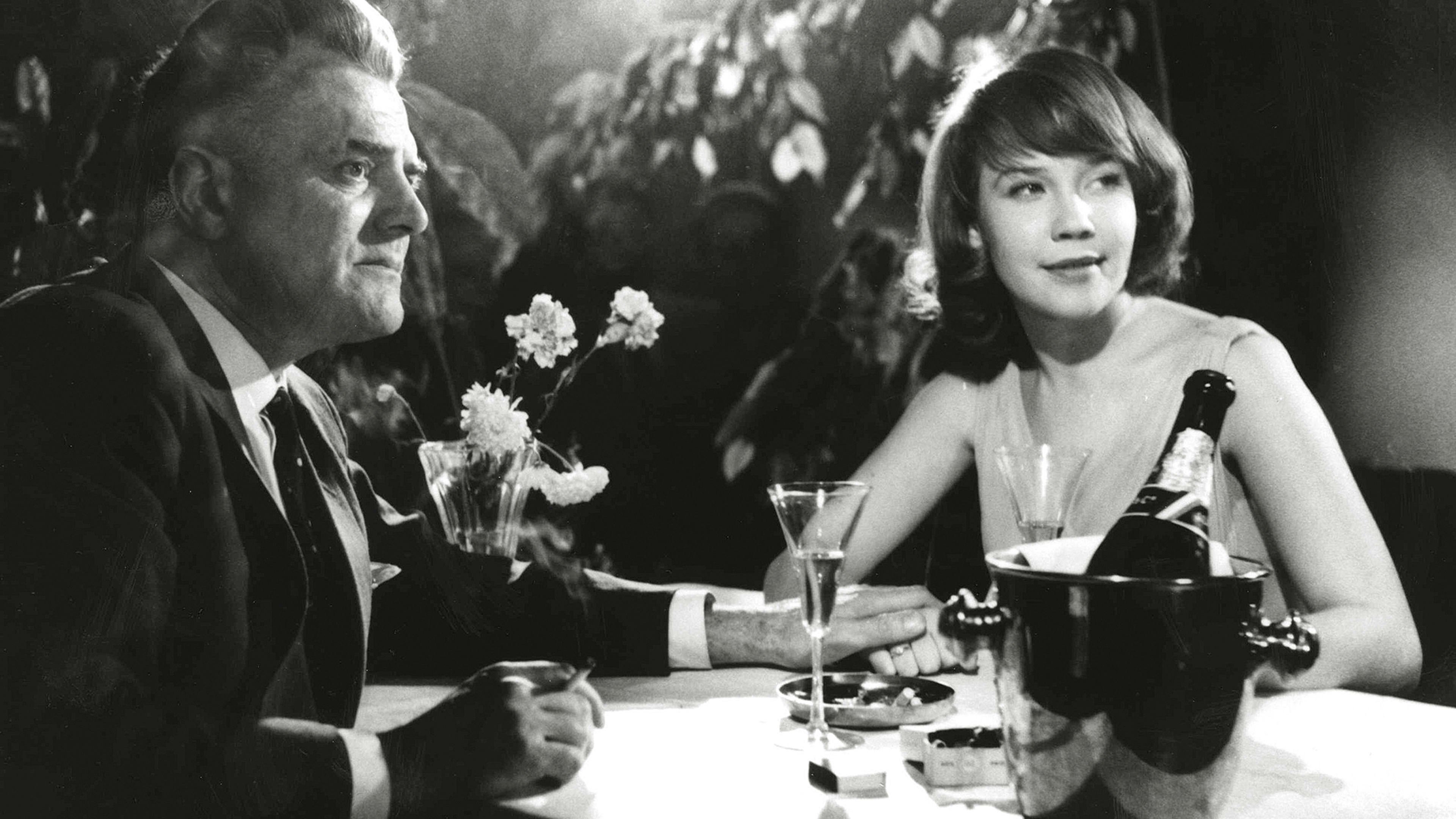 The Scarlet Dove Background