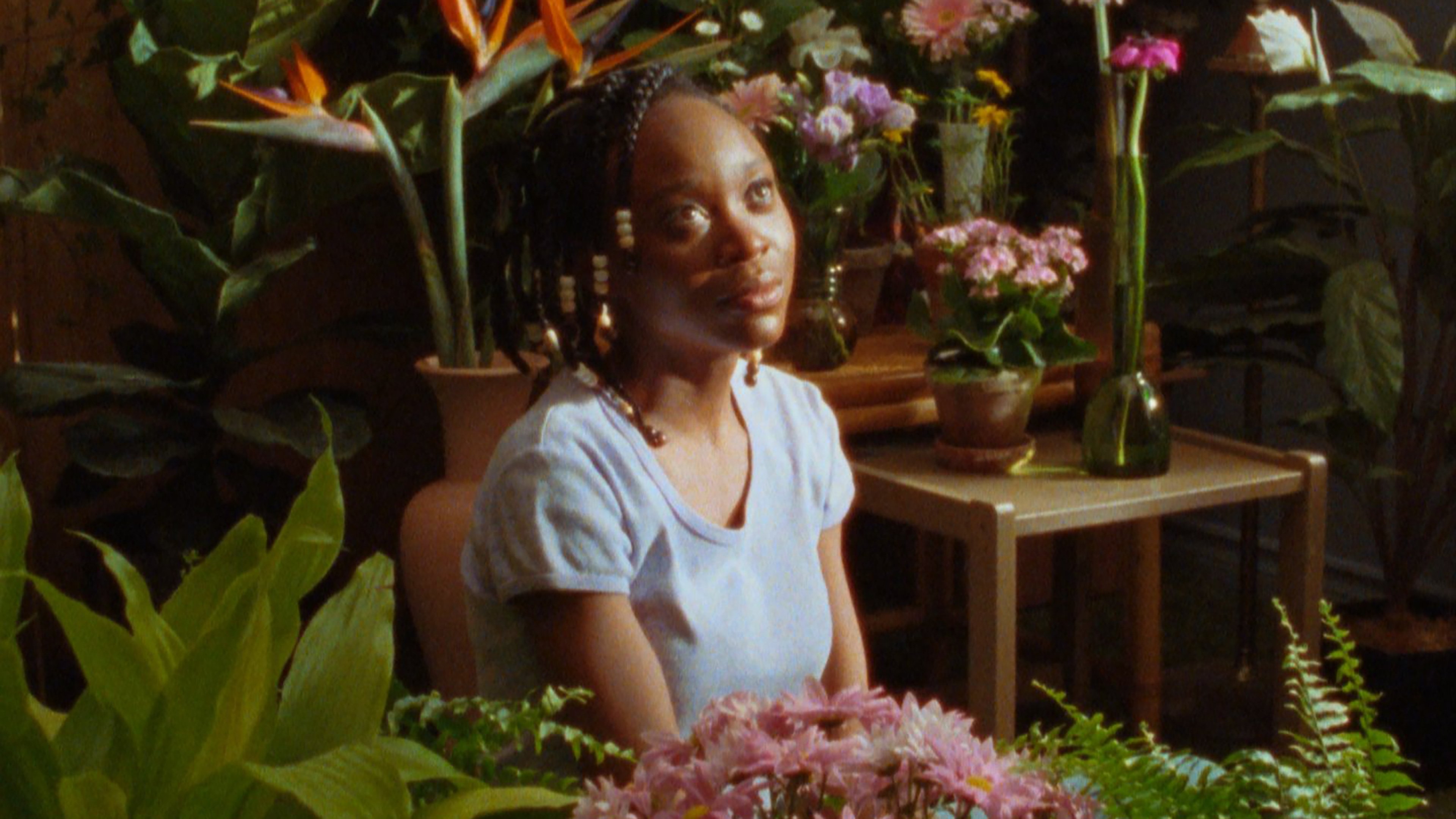 This House Background