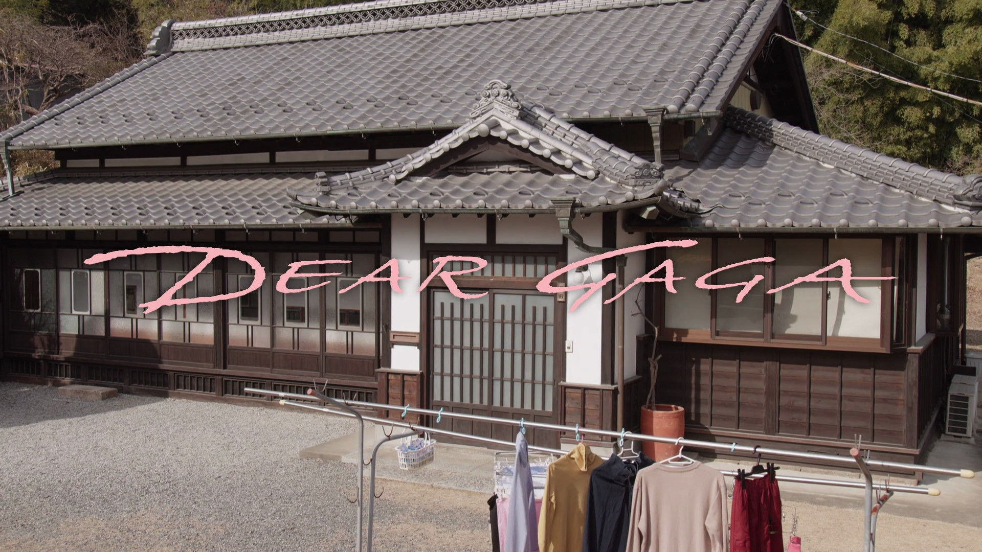 DEAR GAGA Background