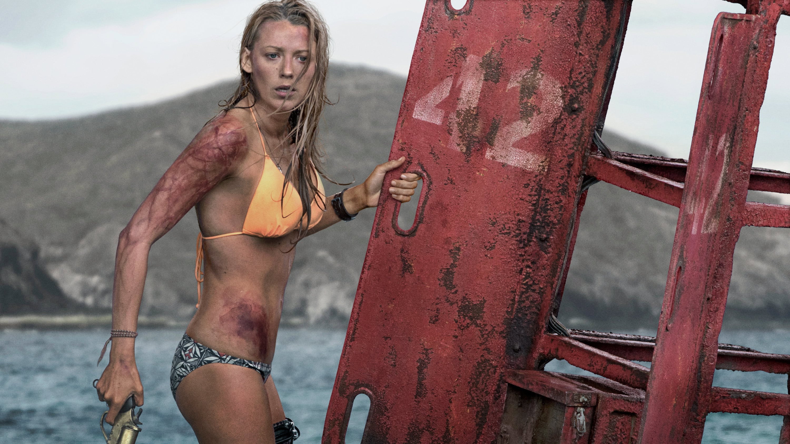 The Shallows Background