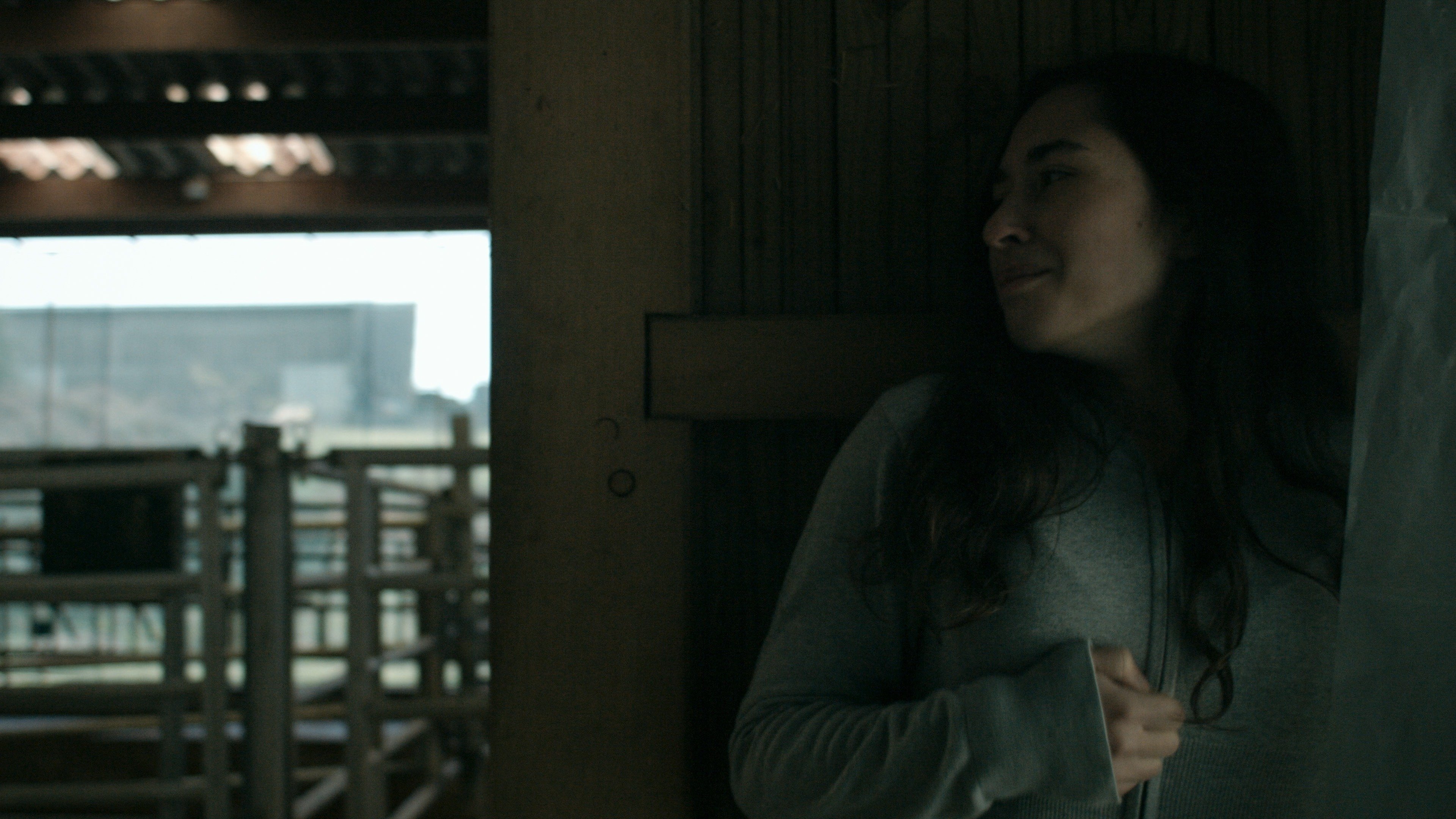 Anonymous Animals Background