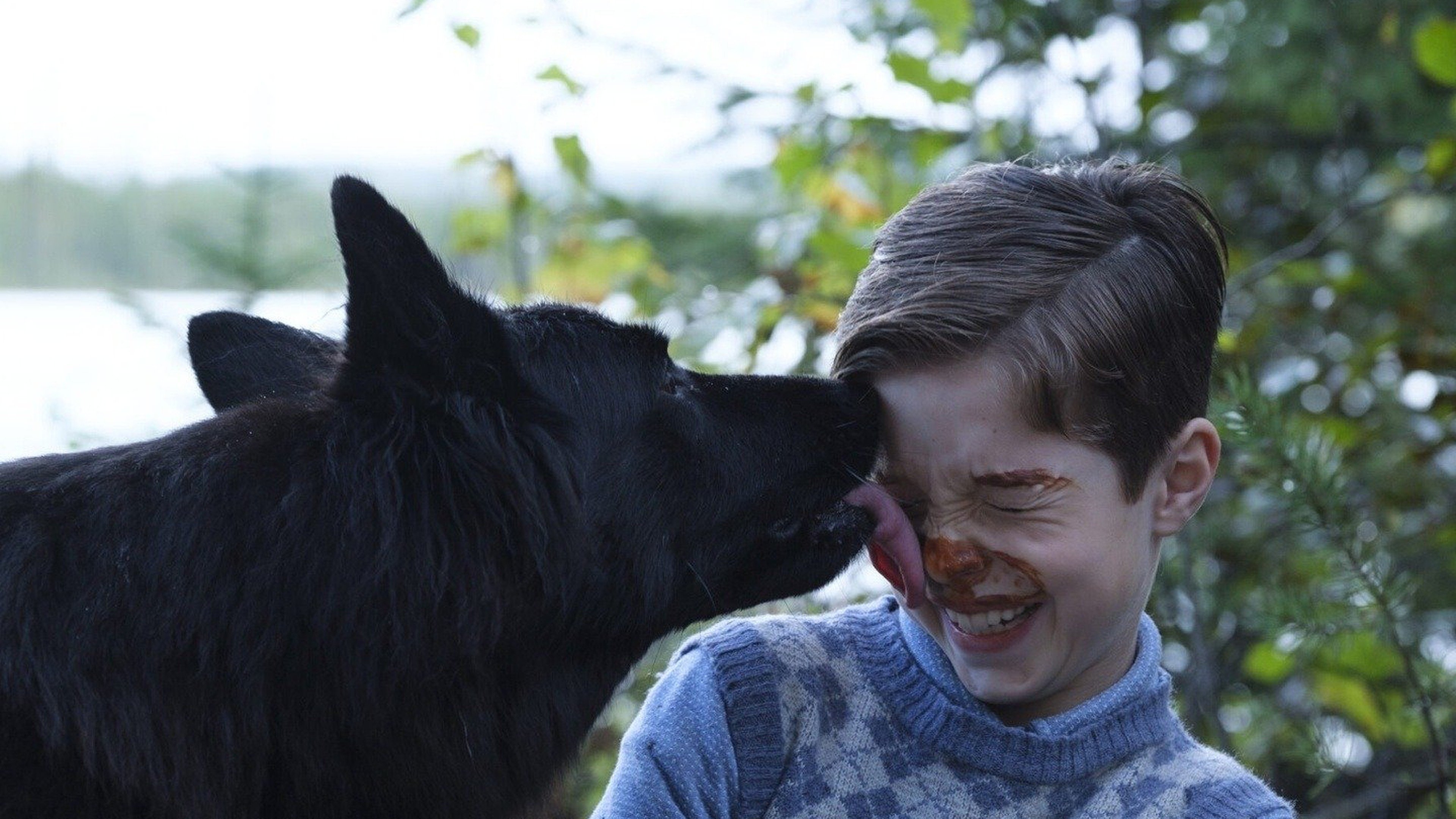 Adventures in the Land of Asha Background