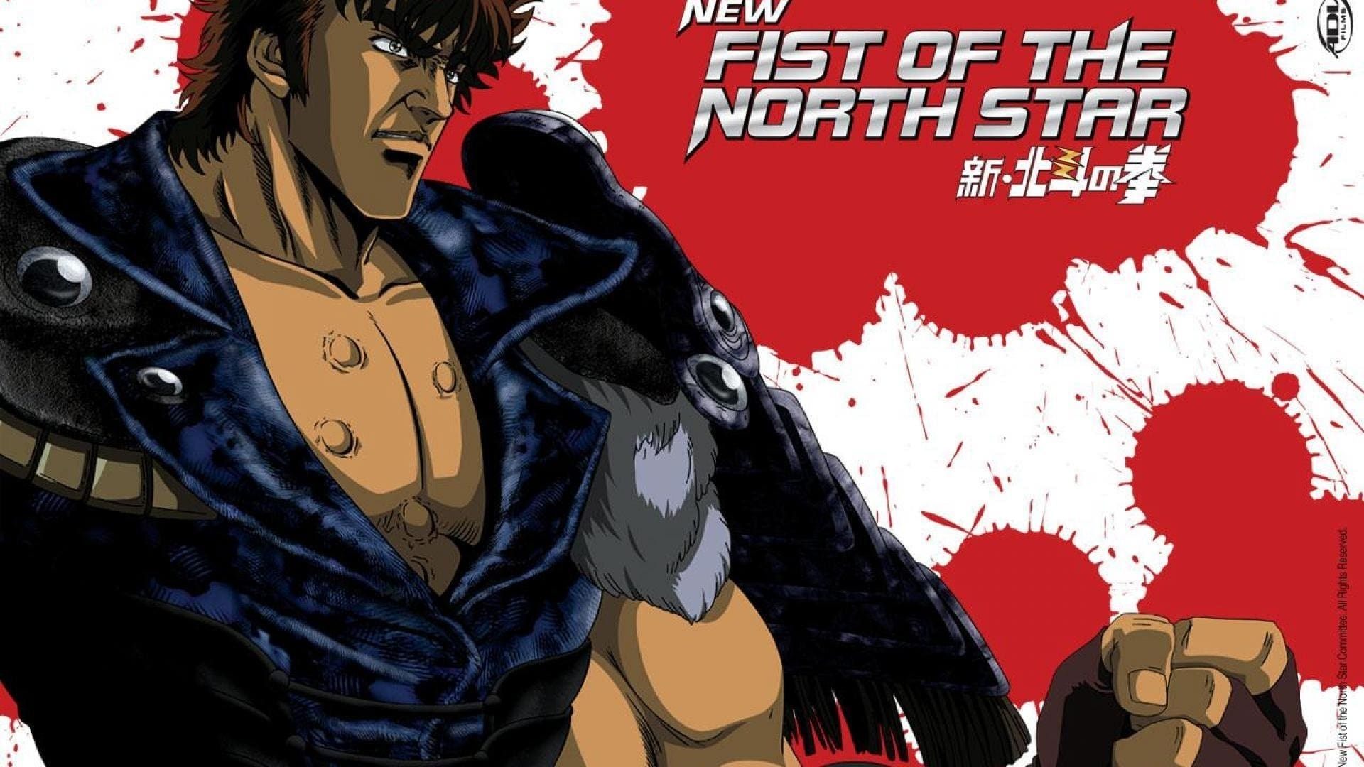 New Fist of the North Star: The Forbidden Fist Background