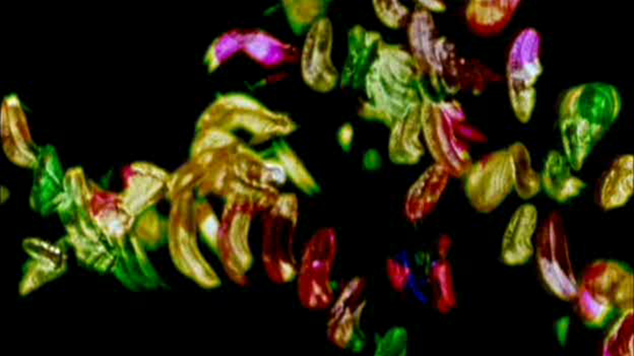 Glaze of Cathexis Background