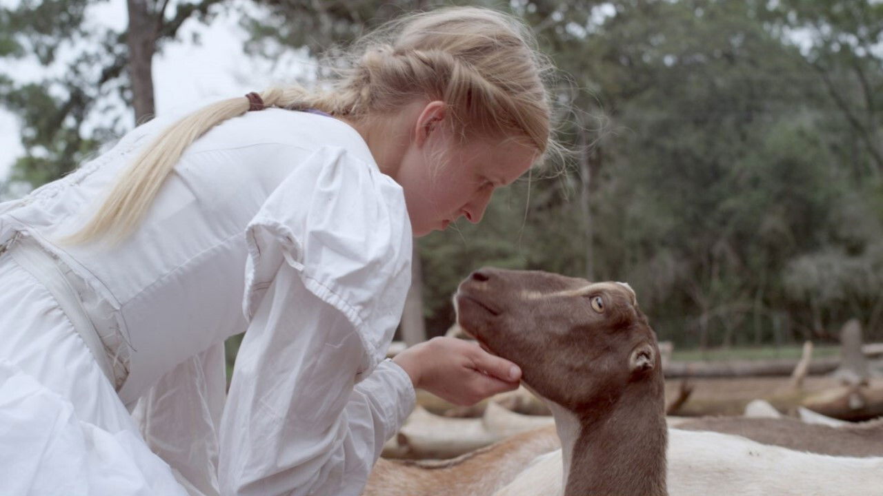 Stop the Pounding Heart Background