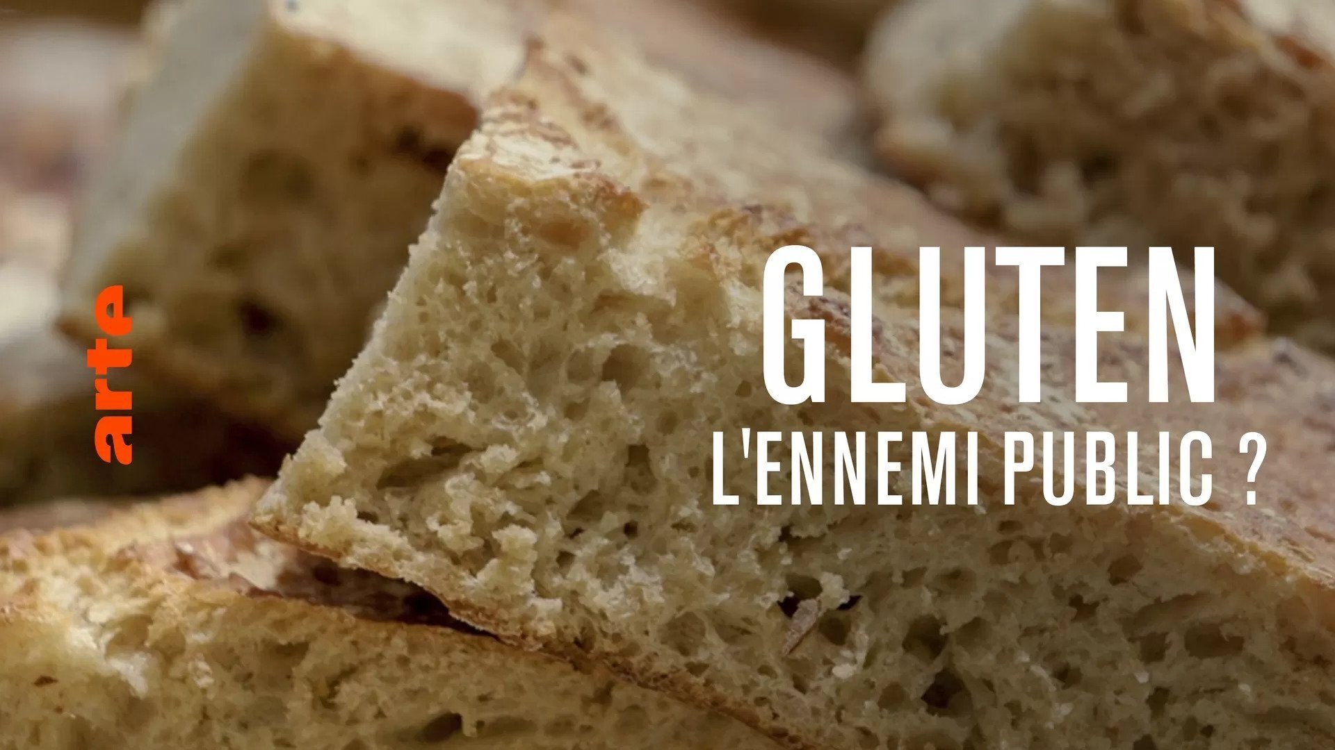 Gluten, the public enemy? Background