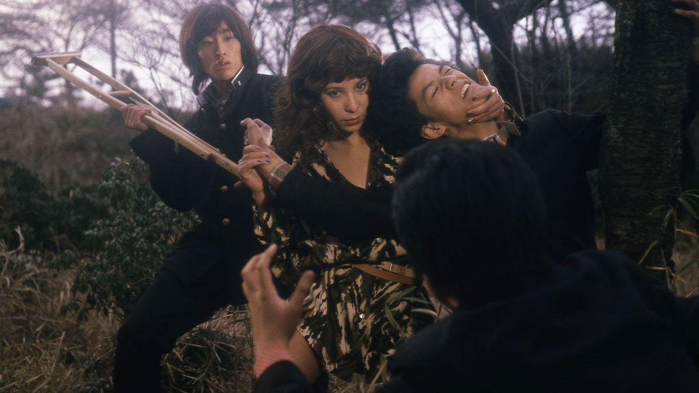 Teacher Deer Background