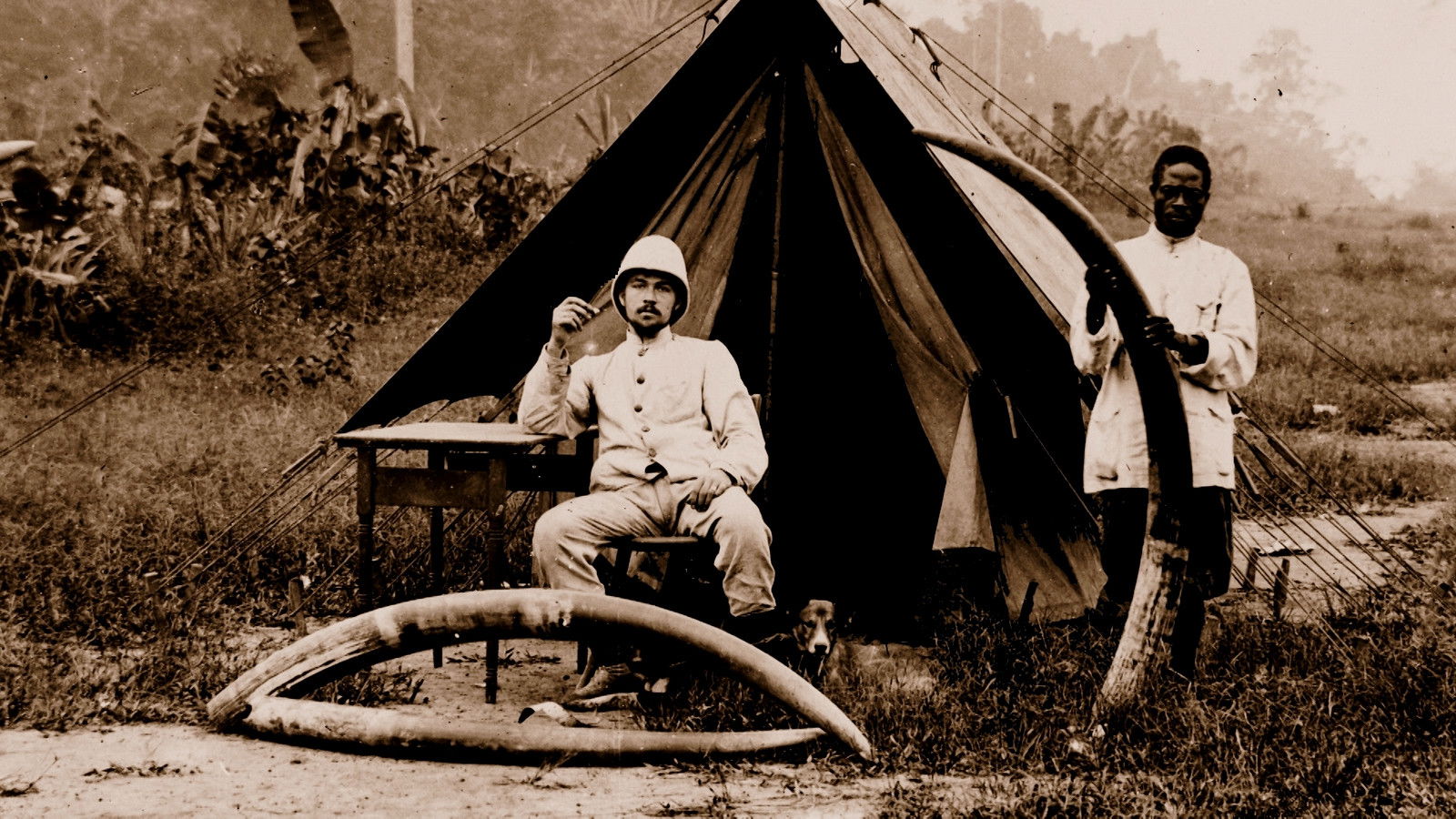 Totems and Taboos Background