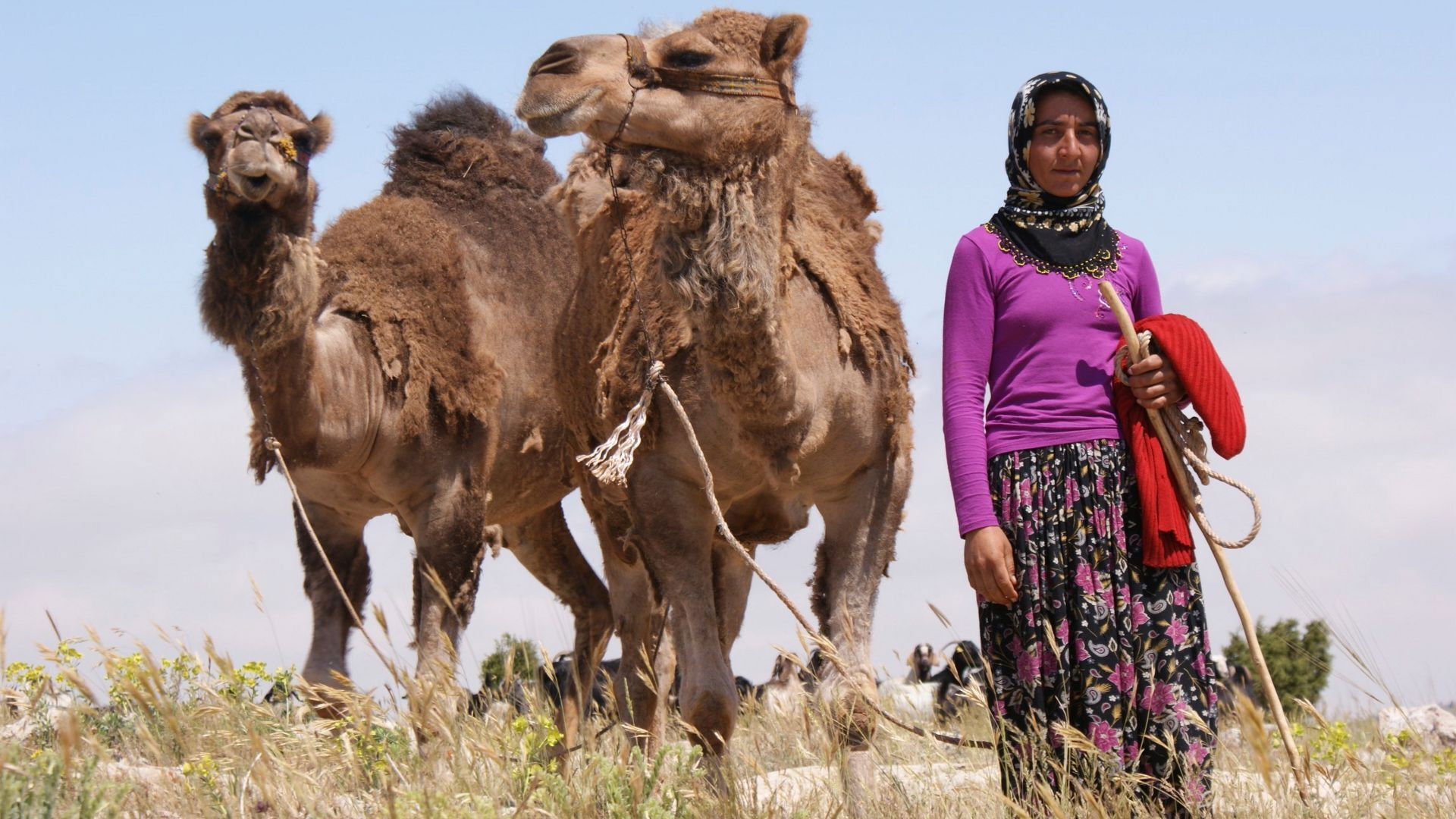Tribal Wives Background