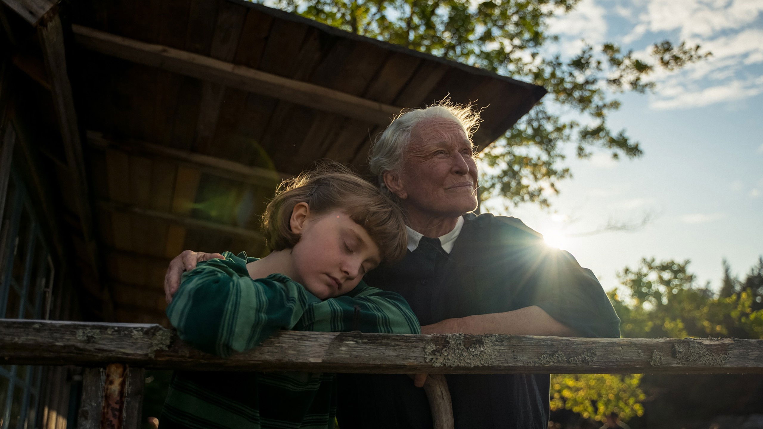 The Summer Book Background