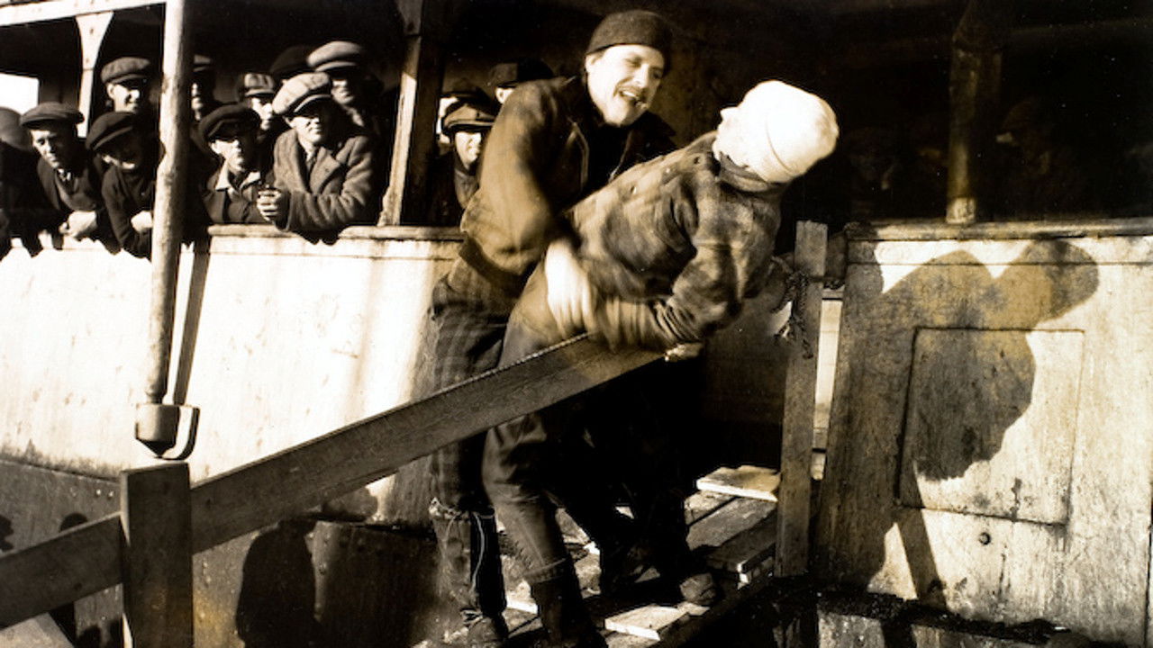 The Viking Background