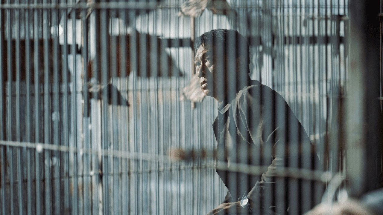 Coo-Coo 043 Background