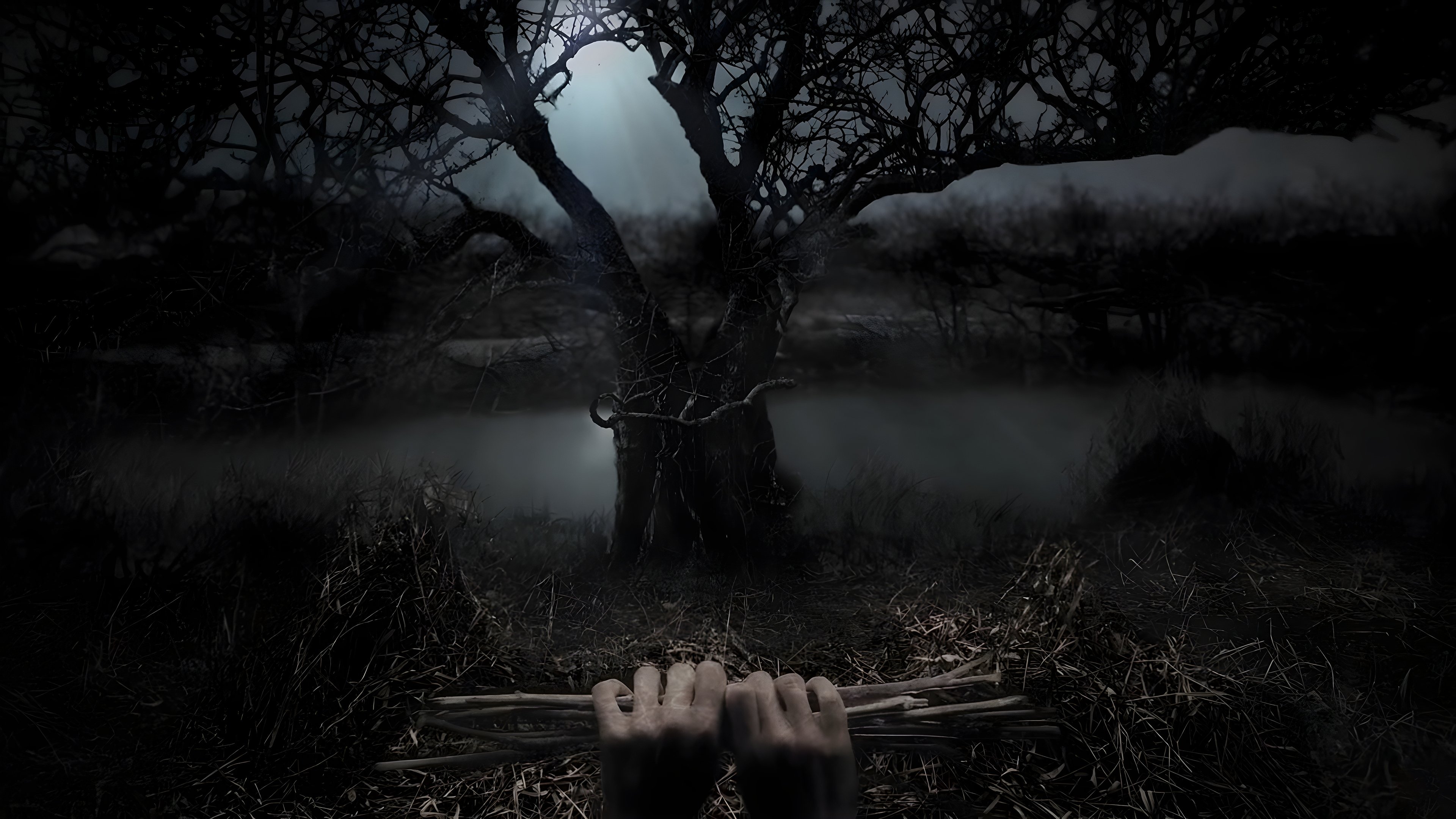 Stephen King's Kingdom Hospital Background