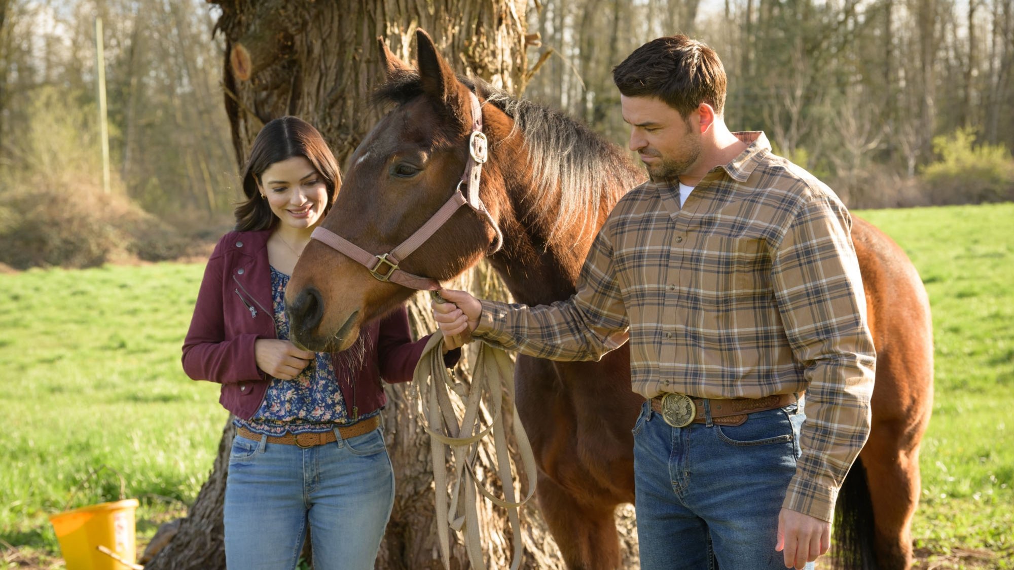 Vote One for Love Background