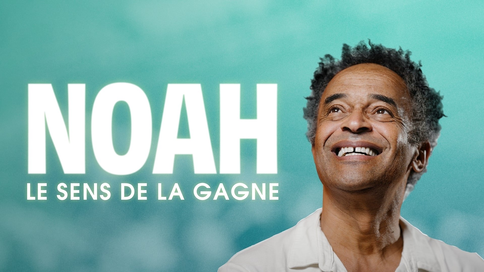 Noah : le sens de la gagne Background