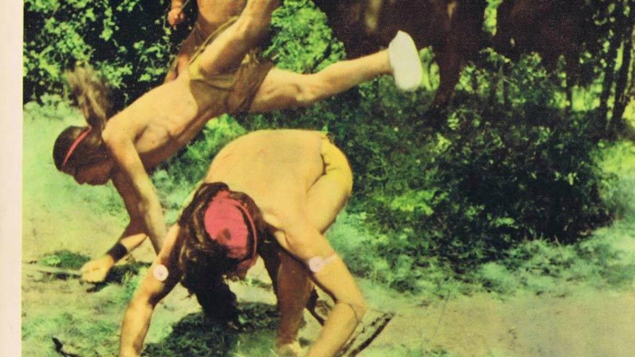 Indian Paint Background