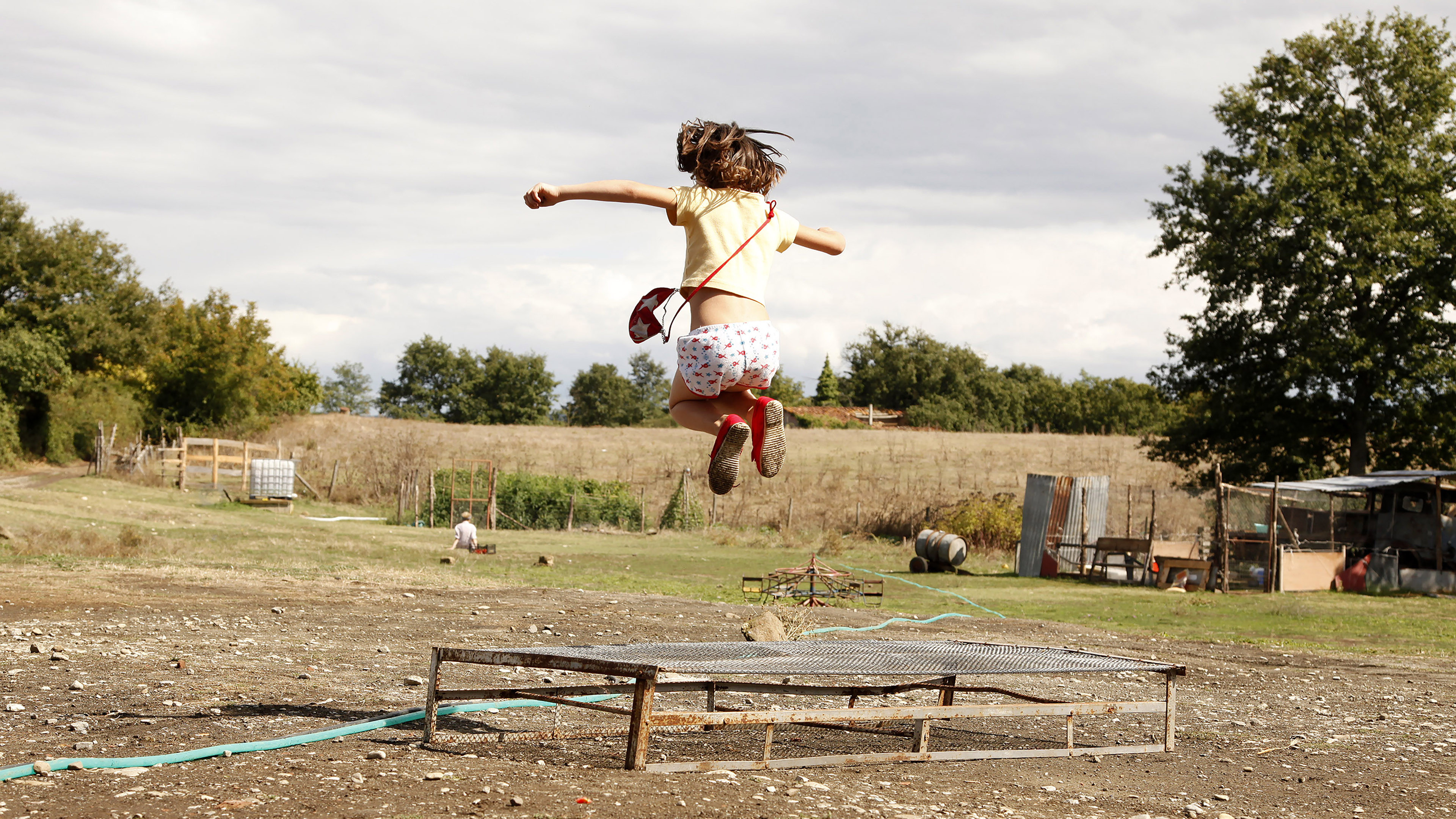 The Wonders Background