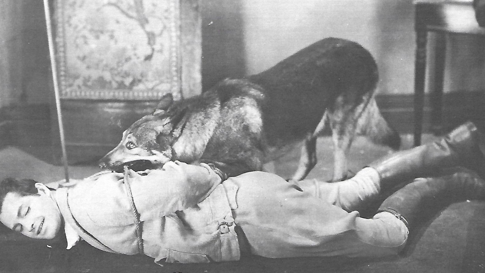 The Adventures of Rex and Rinty Background