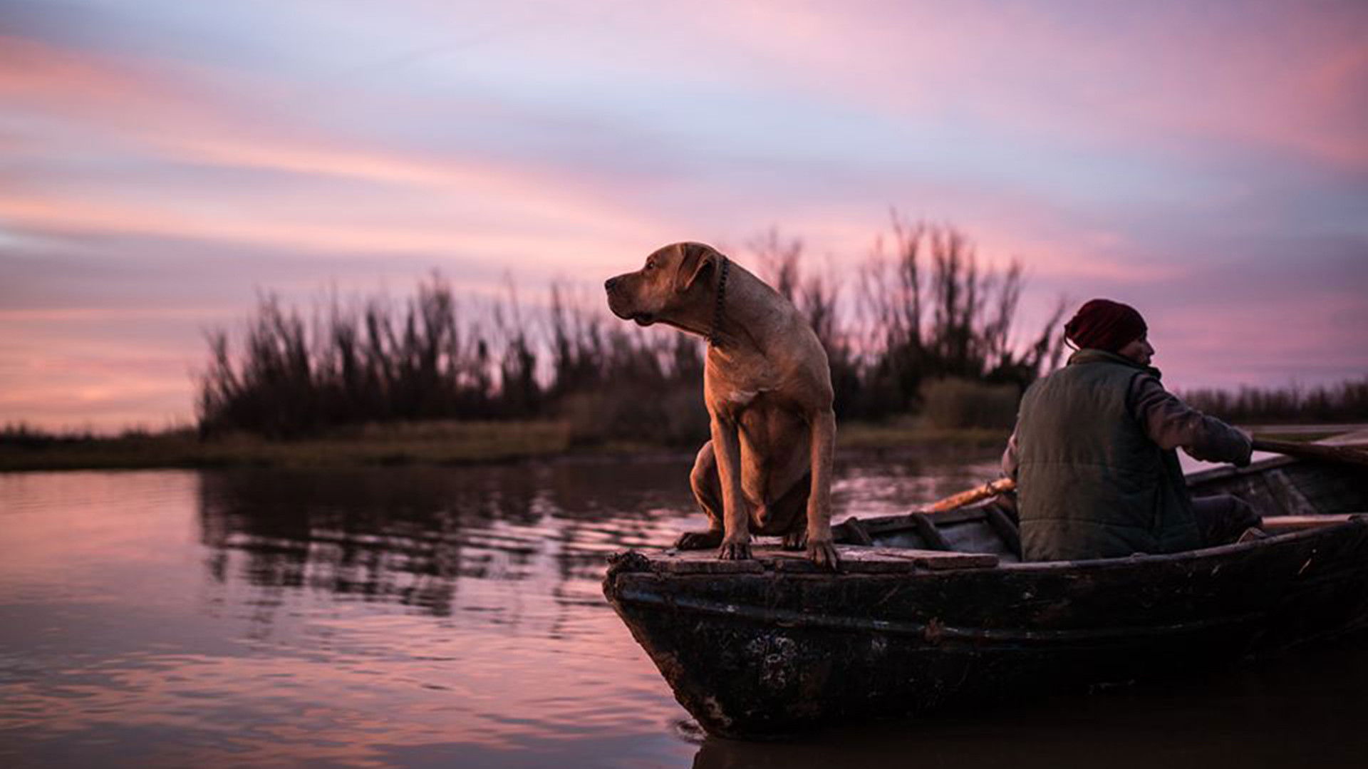 La creciente Background