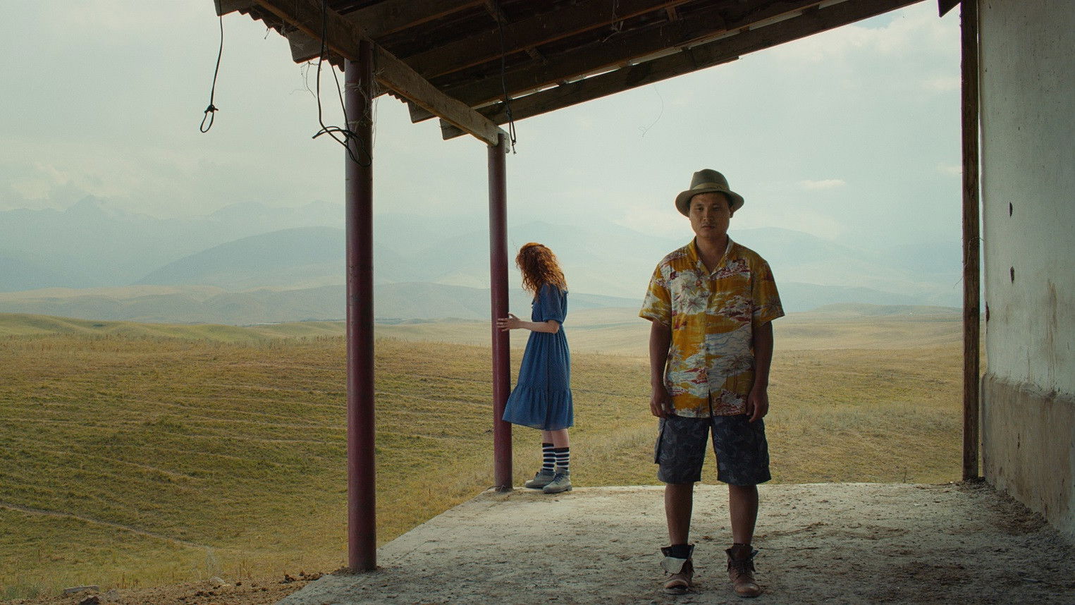 Yellow Cat Background